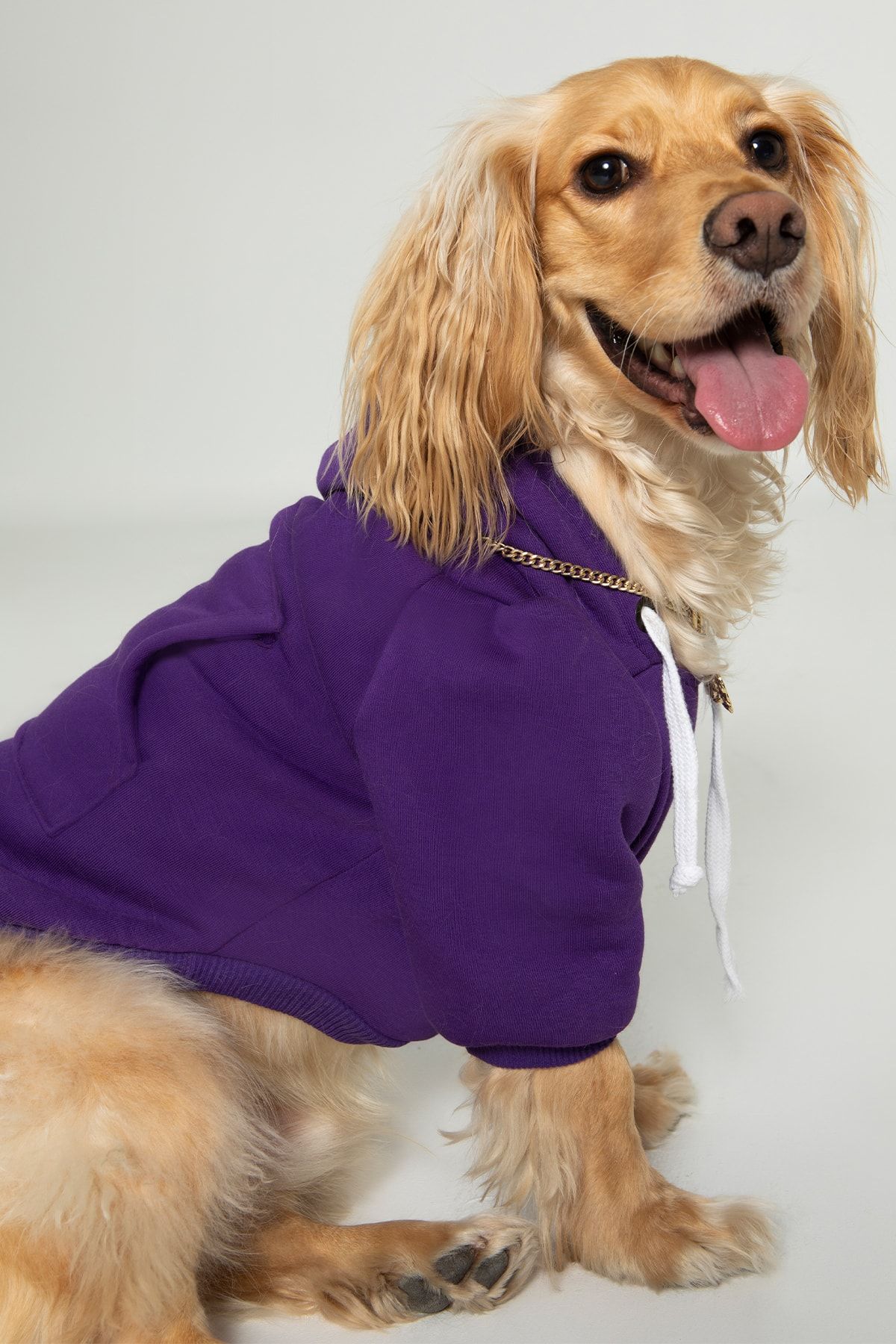PETBUTİK8 0011pkpkh8 Kedi - Köpek Hoodie