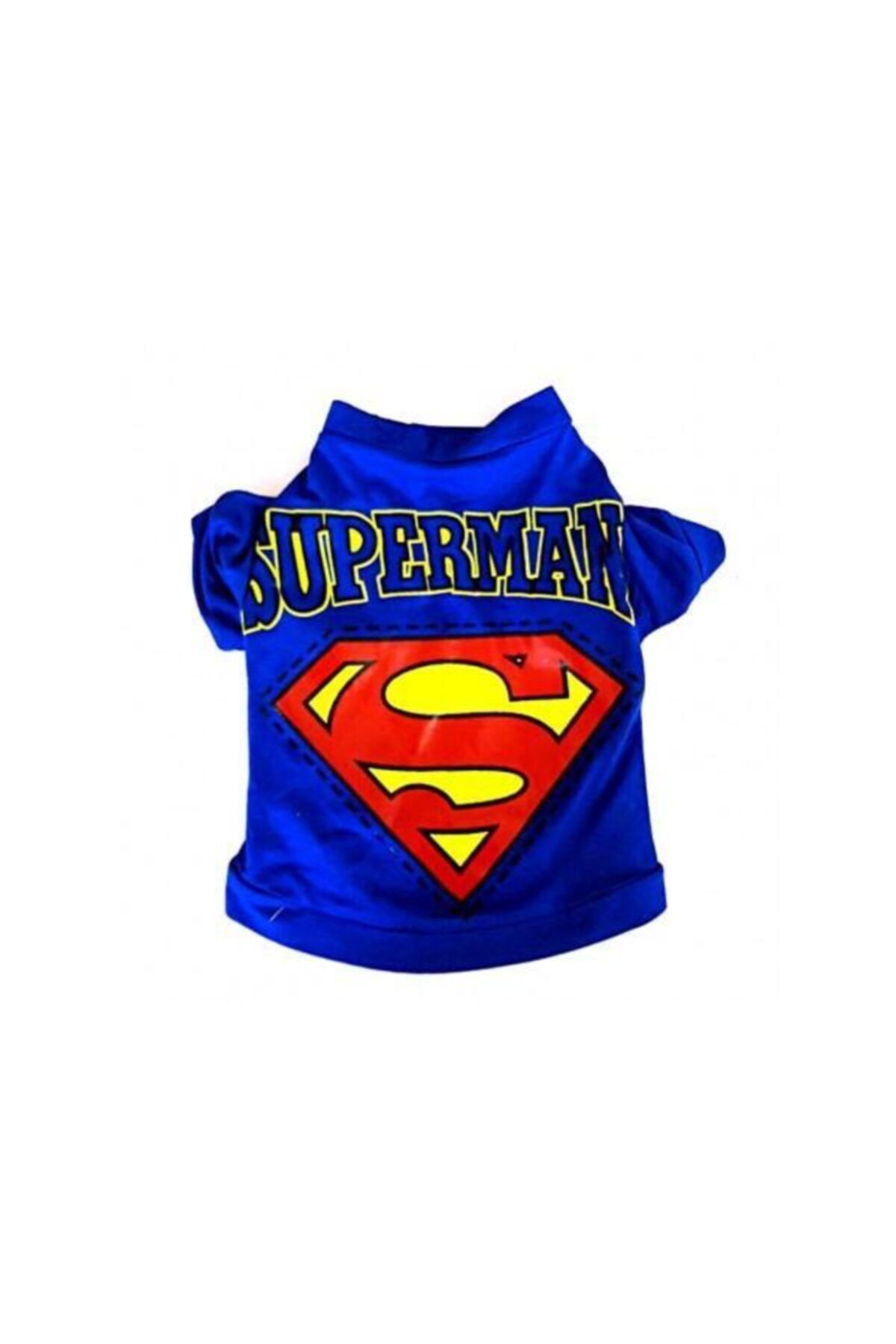 Kemique SUPERMAN Kedi Tişört (Large / 5,5 -7 kg )
