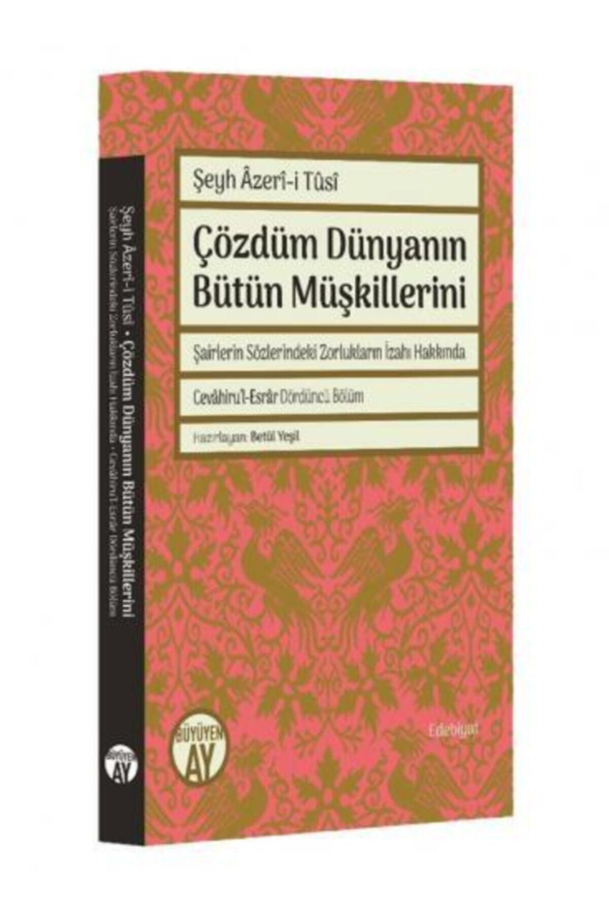 Büyüyen Ay Yayınları Çözdüm Dünyanın Bütün Müşkillerini