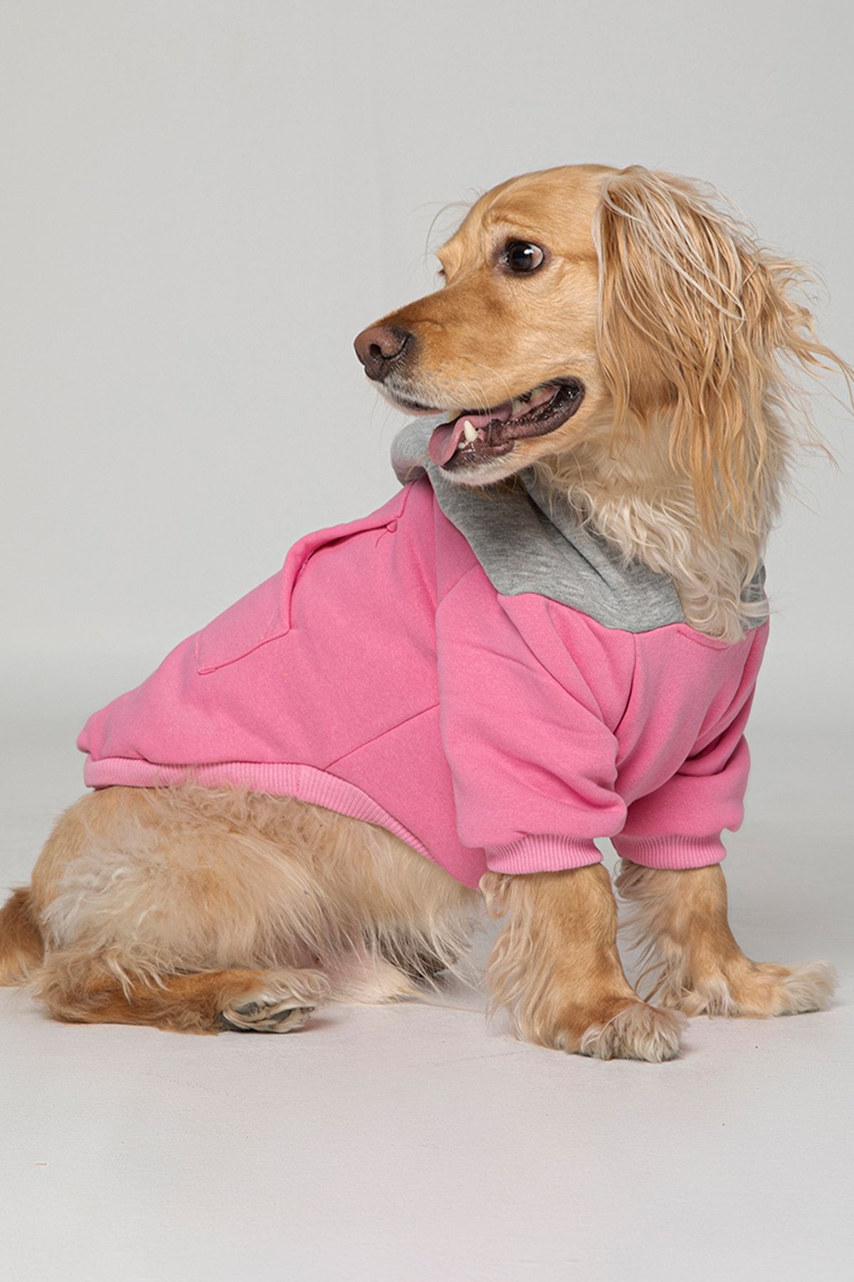 PETBUTİK8 0012pkpkh8 Kedi - Köpek Hoodie