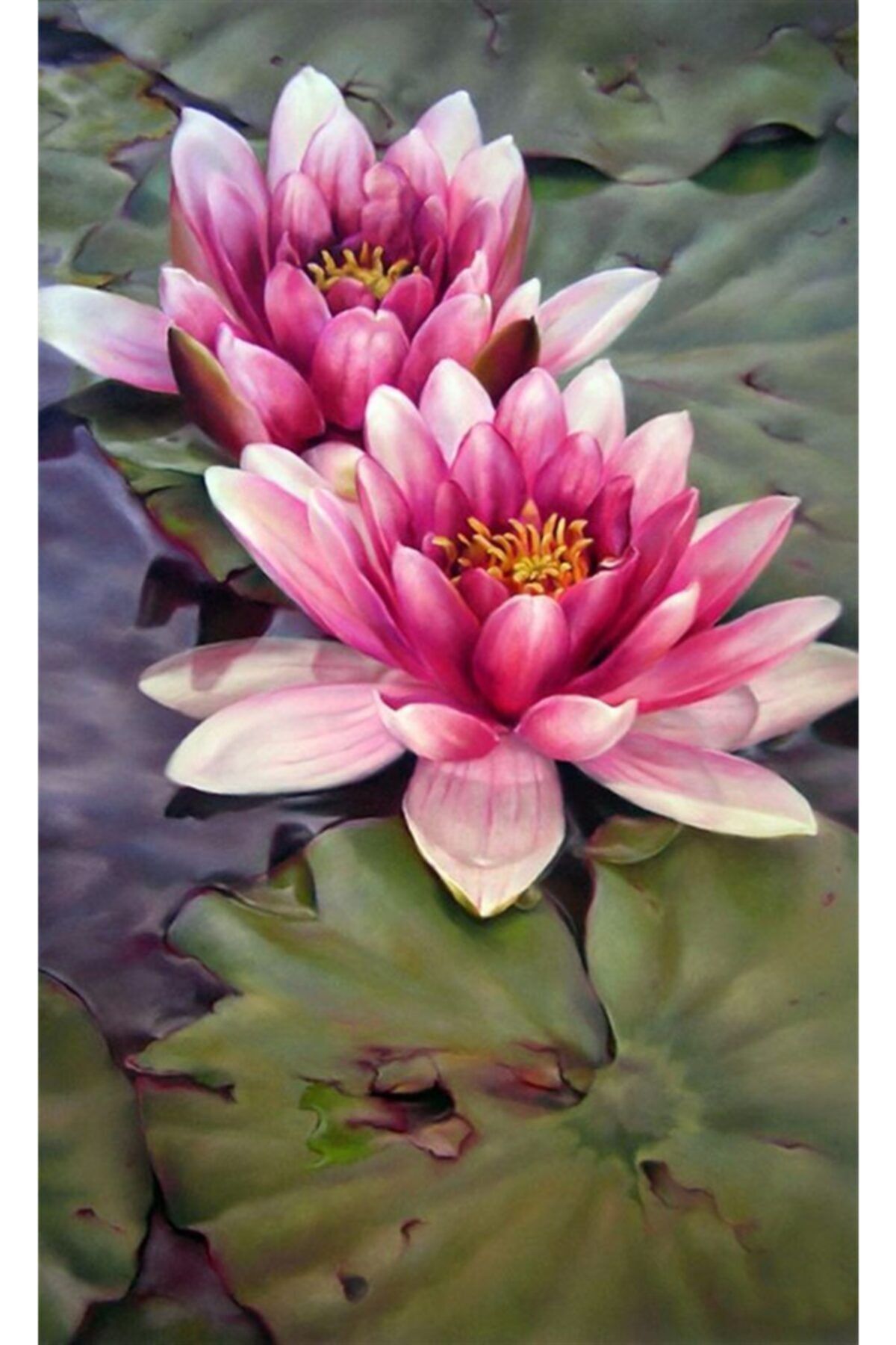 MARCEL SANAT Fuşya Nilüfer (Lotus) Çiçeği Elmas Mozaik Tablo 35x60cm