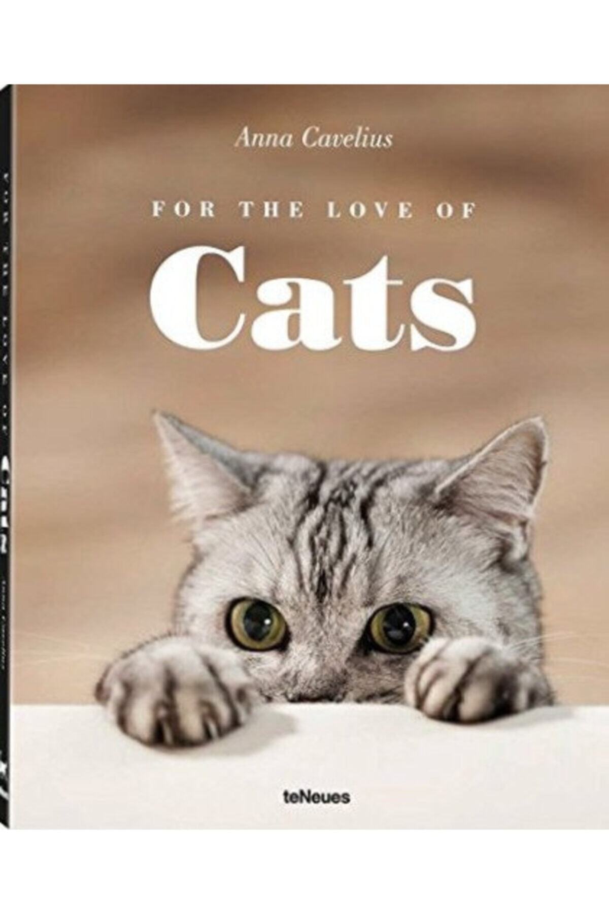 teneues yayınevi For The Love Of Cats