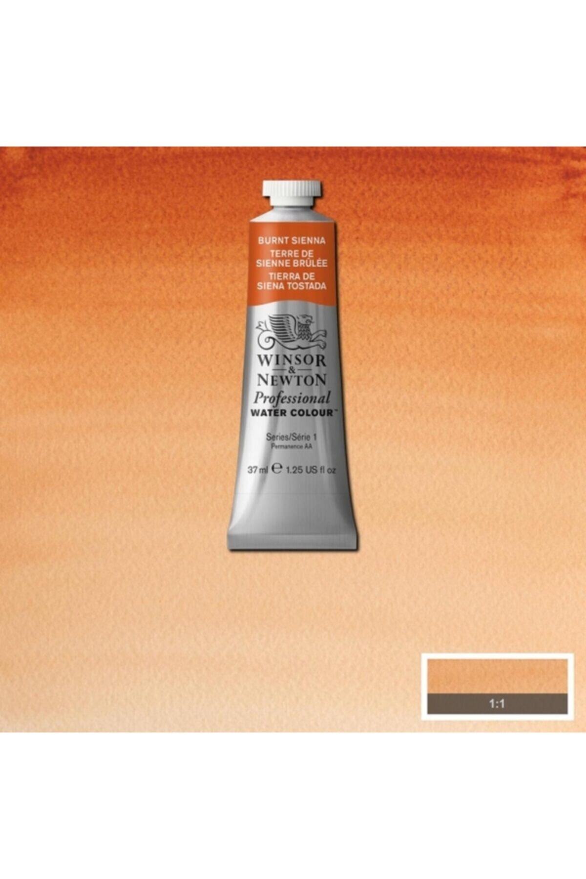 Winsor Newton Winsor & Newton Professional Sulu Boya 37ml Burnt Sienna 074 Seri 1