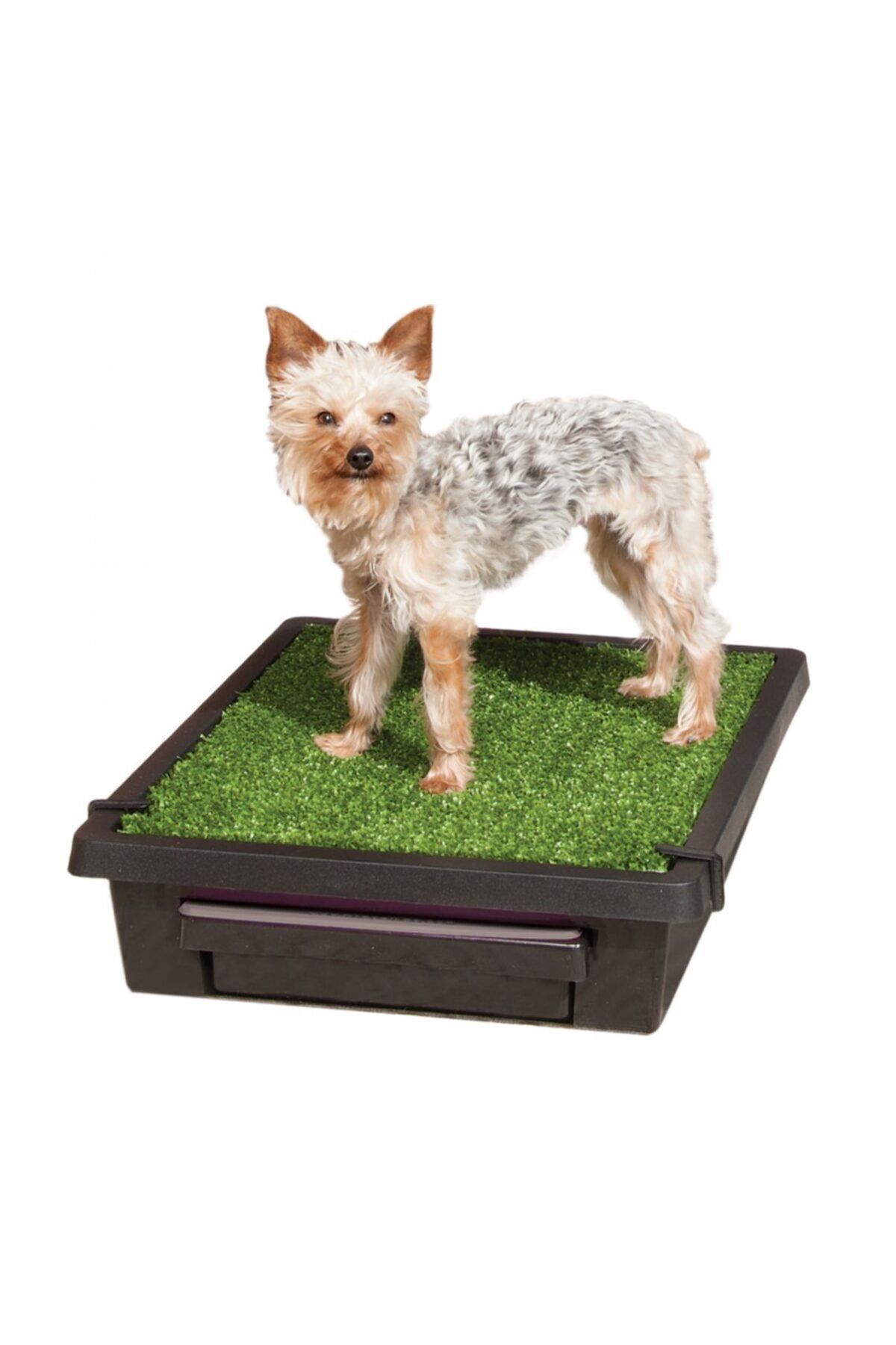 PetSafe Pet Loo Small Köpek Tuvaleti (53x45cm)