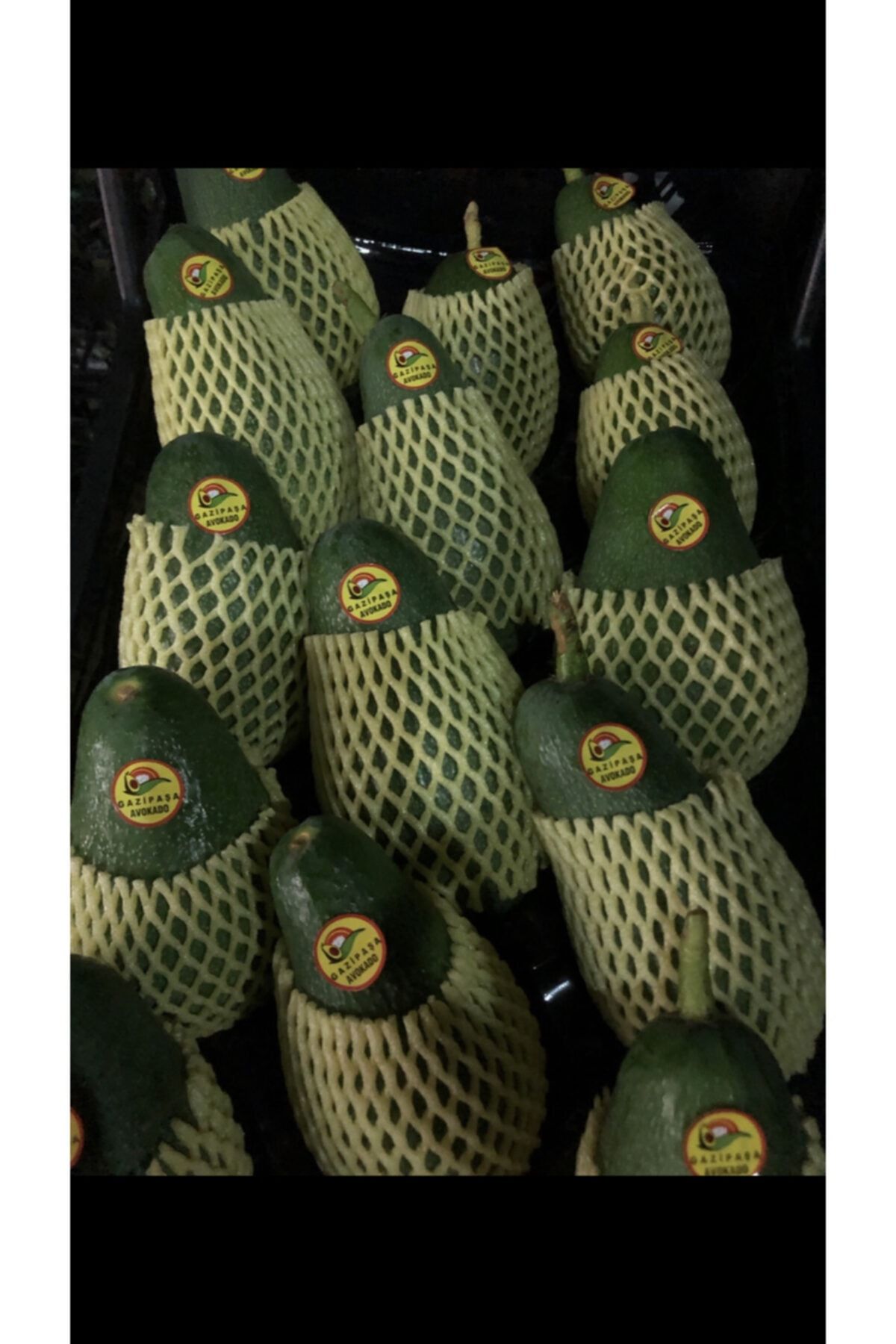 arif ertekin Ertekin Tropikal 10 Adet Avakodo (250 Gr-300 Gr)