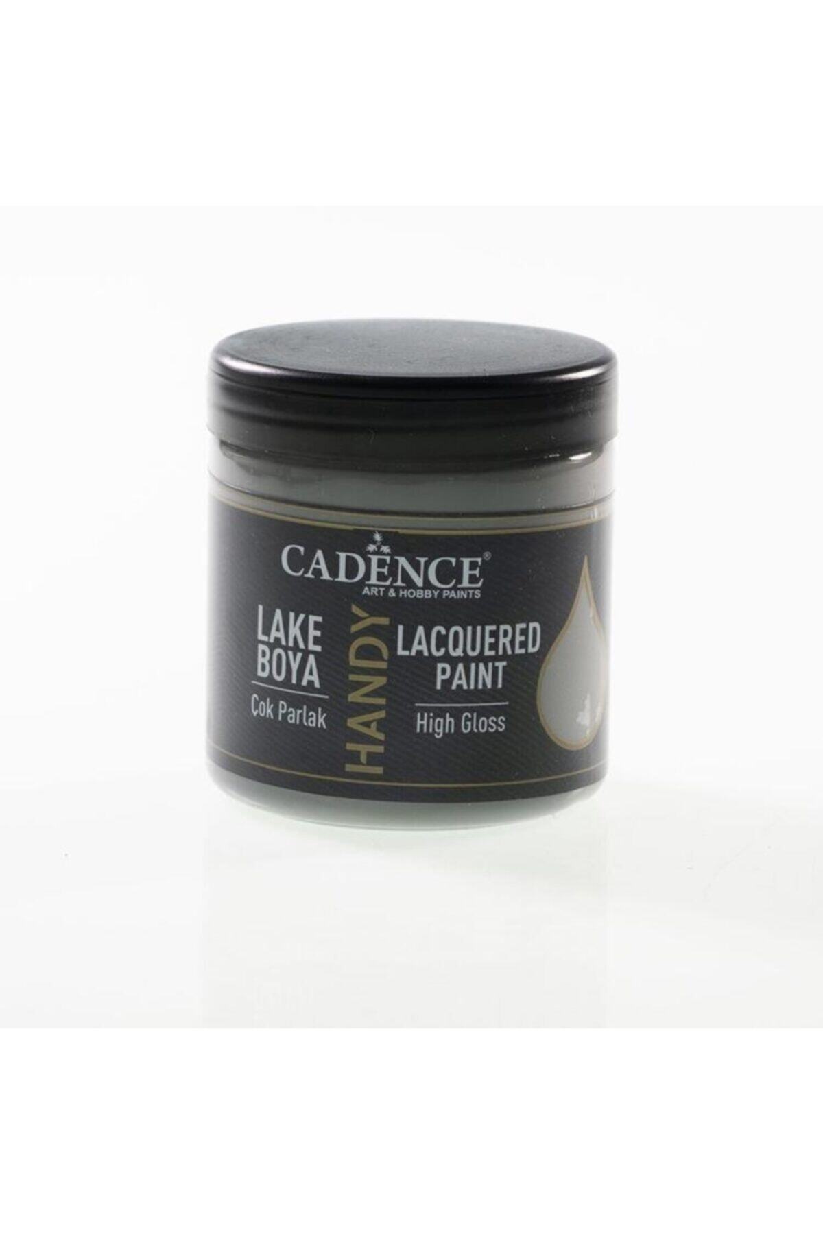 Cadence Handy Lake Boya 250 Ml L-057 Koyu Gri