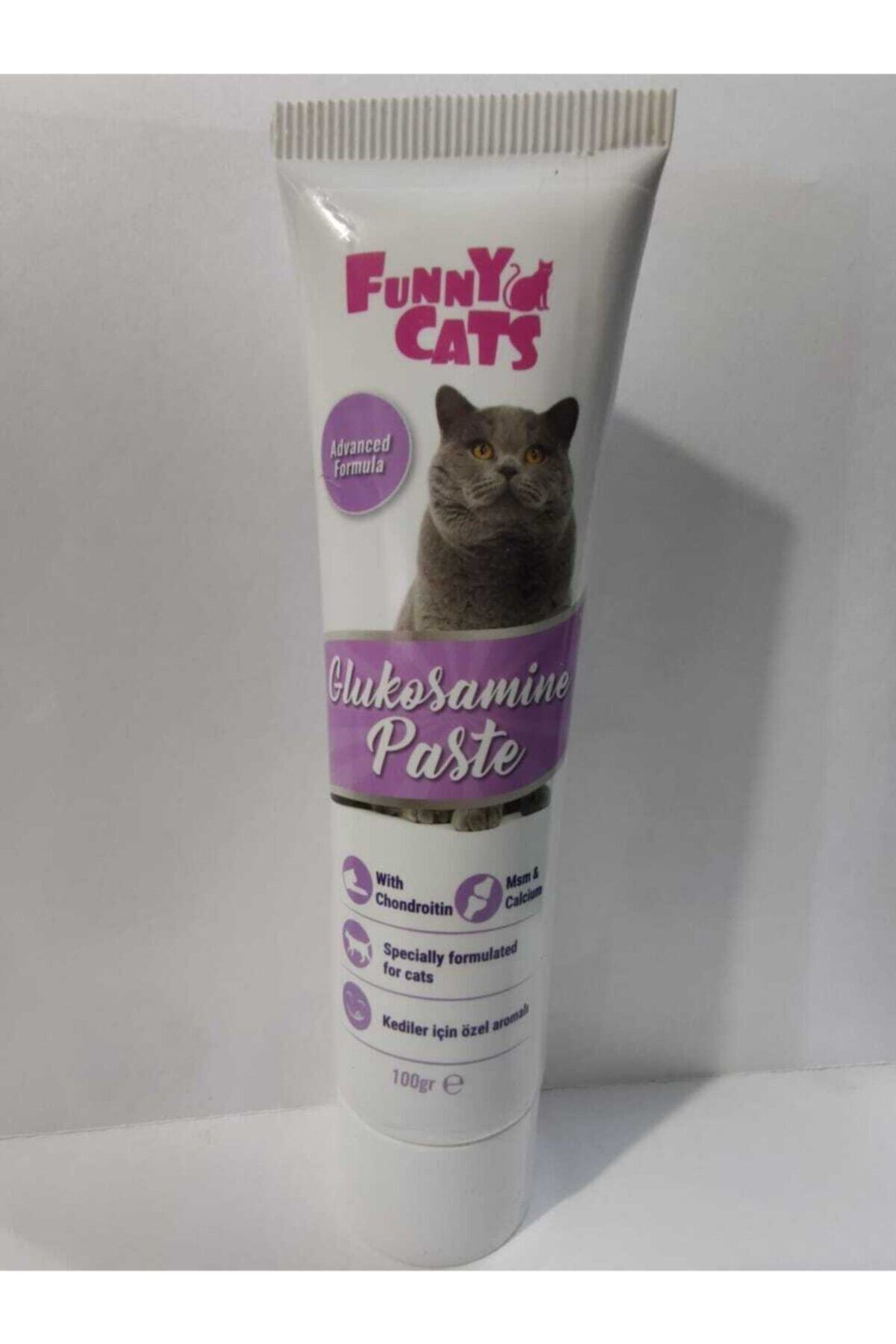 FUNNY CATS Funny Glucosamine (glukozamin) Paste 100gr S.k.t. 26.07.2023