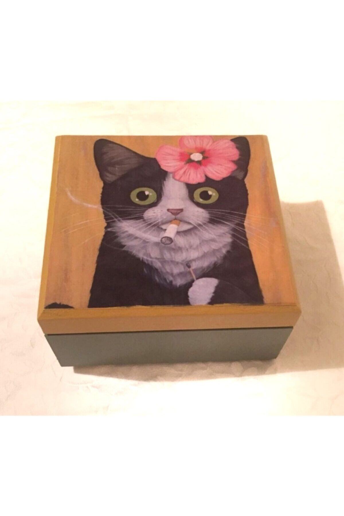 kara kedi sanat hobi Kedili Kutu