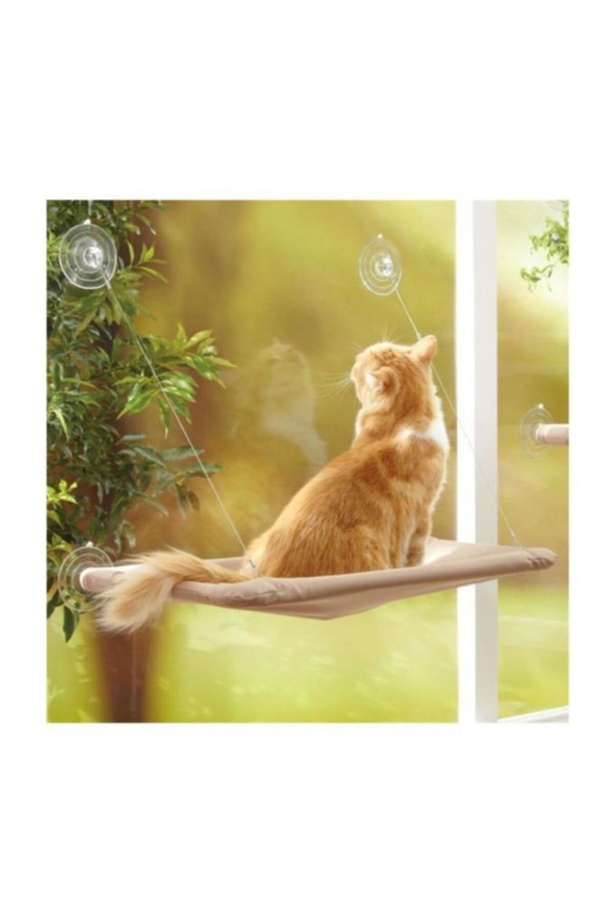Cosmonis Cama Asılan Kedi Yatağı Yapışan Vantuzlu