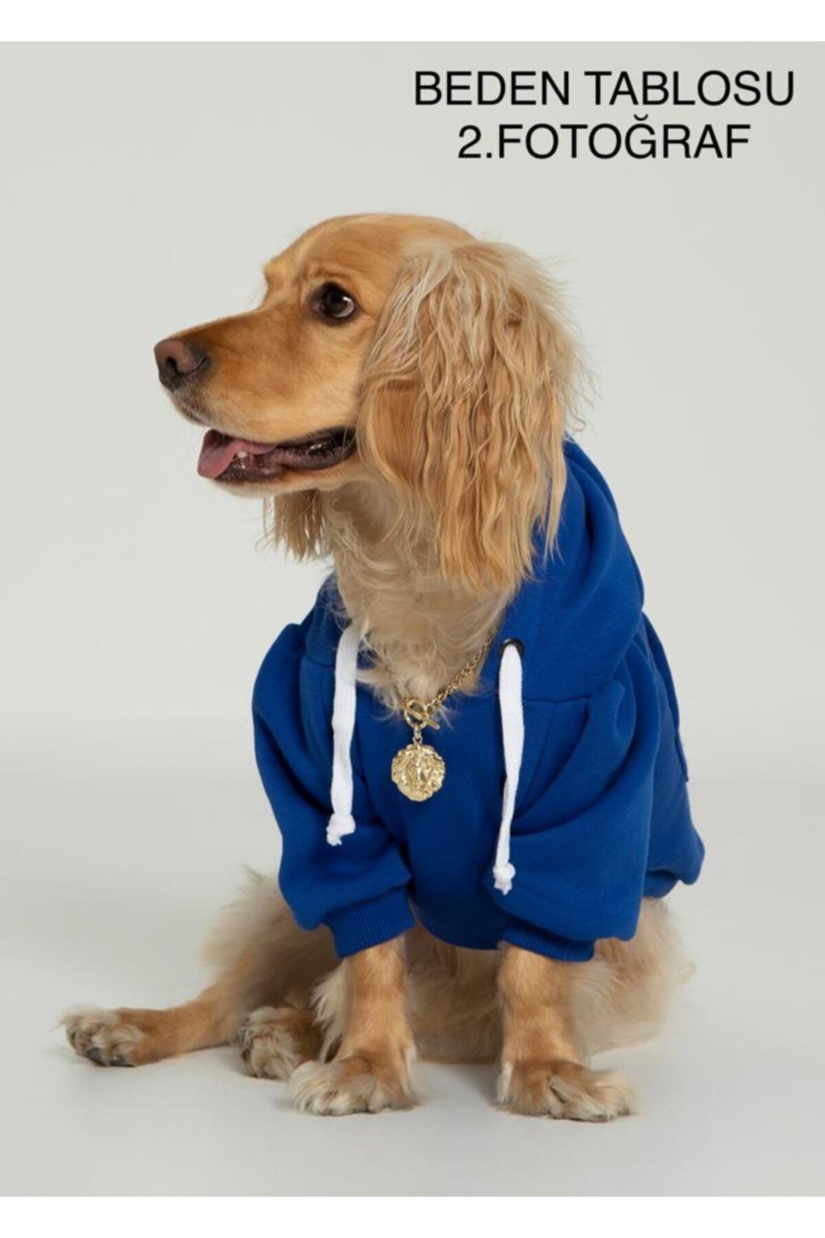 PETBUTİK8 Saks Mavi Köpek Kıyafeti