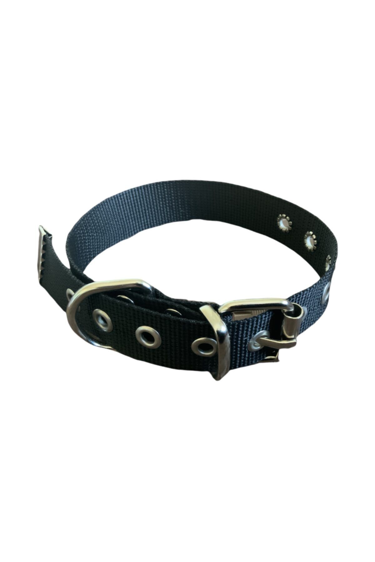 Albayrak Pet Accessories Tokalı Boyun Tasması, Orta Ve Büyük Irk Yavru Ve Yetişkin Köpekler Için