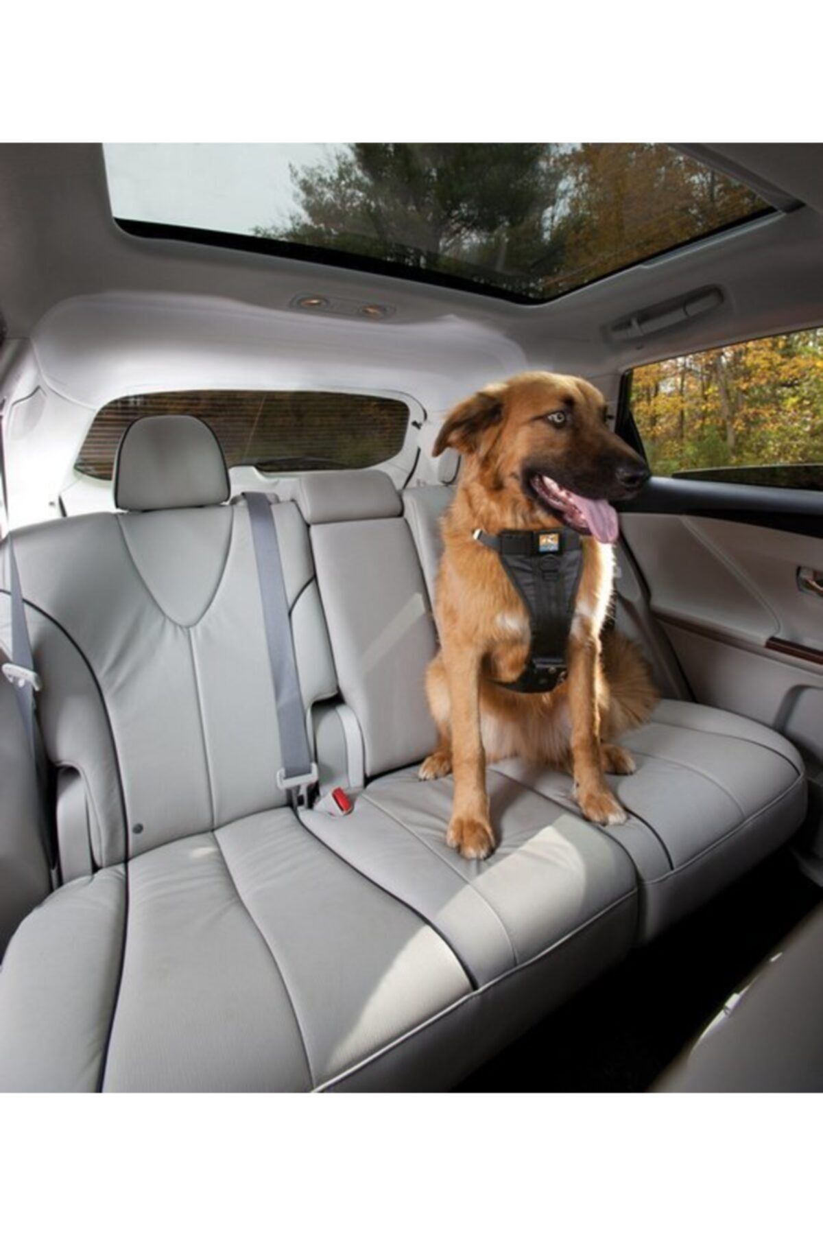 PetSafe Kurgo Tru-fit Oto Emniyet Kemeri Sırt Tasması Siyah M K01257