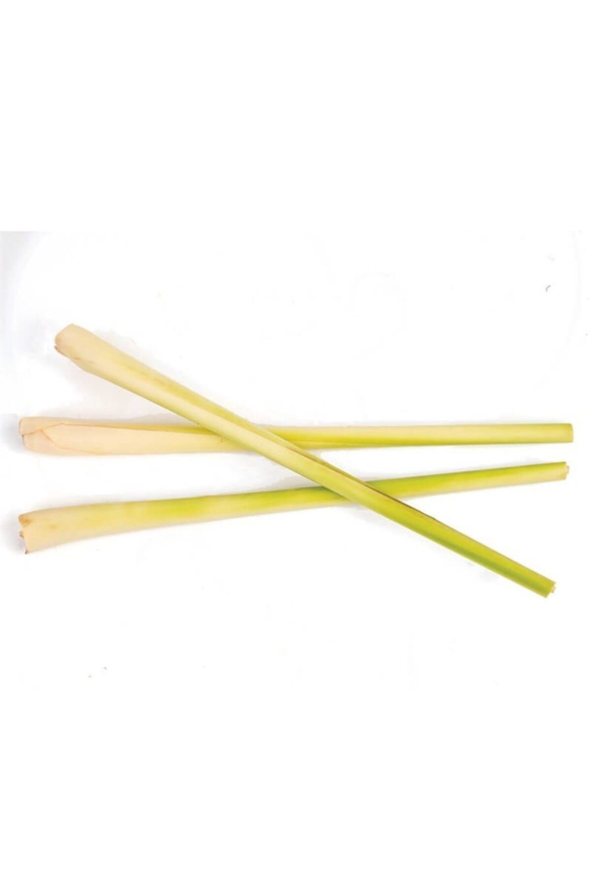 Sebze Meyve Dünyası Limon Kamışı (bağ)