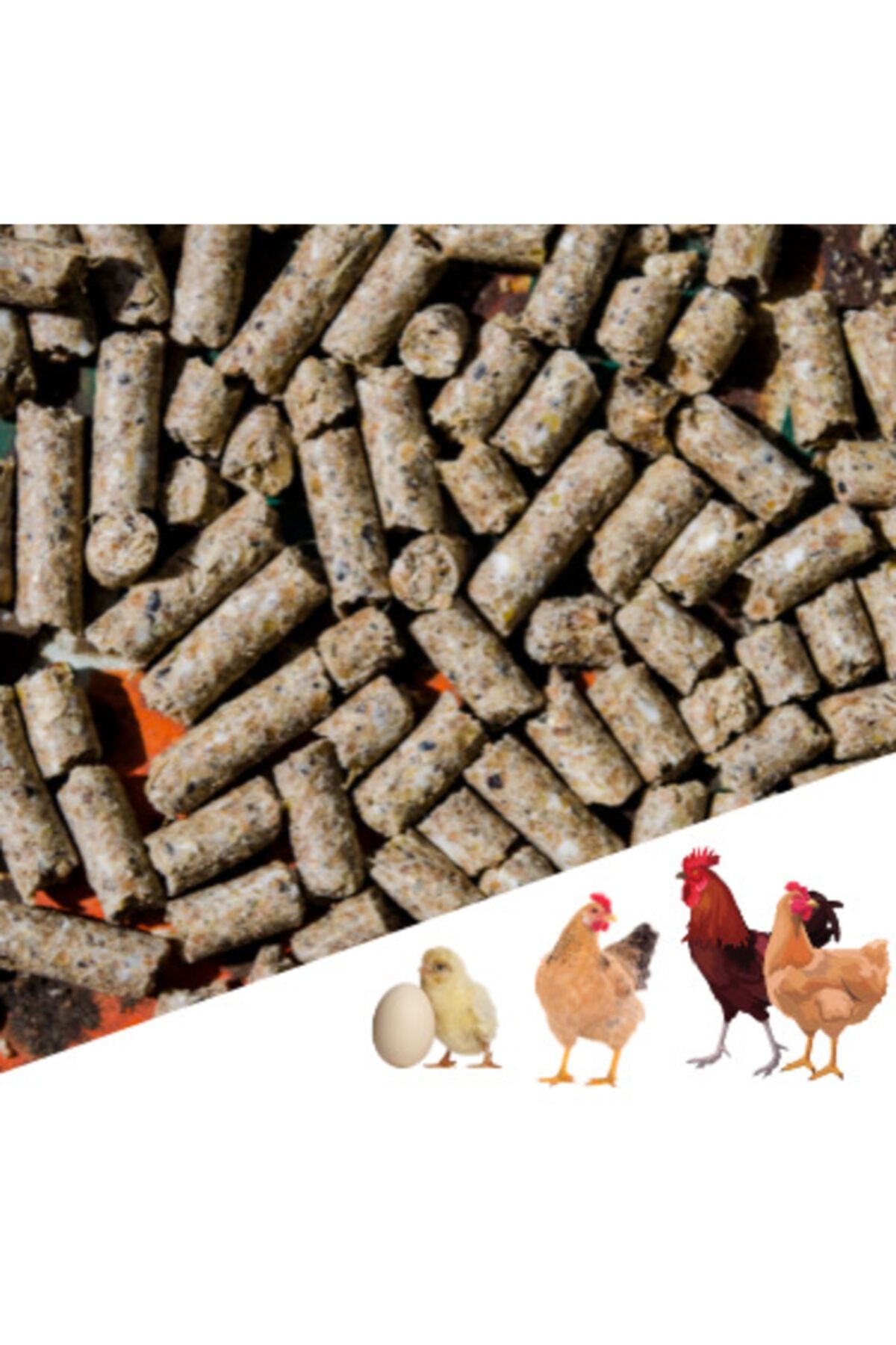 narım 50 Kg Pelet Proteinli Özel Tavuk Kaz Ördek Ve Kanatlı Hayvan Besi Yumurta Yemi 50 Kg