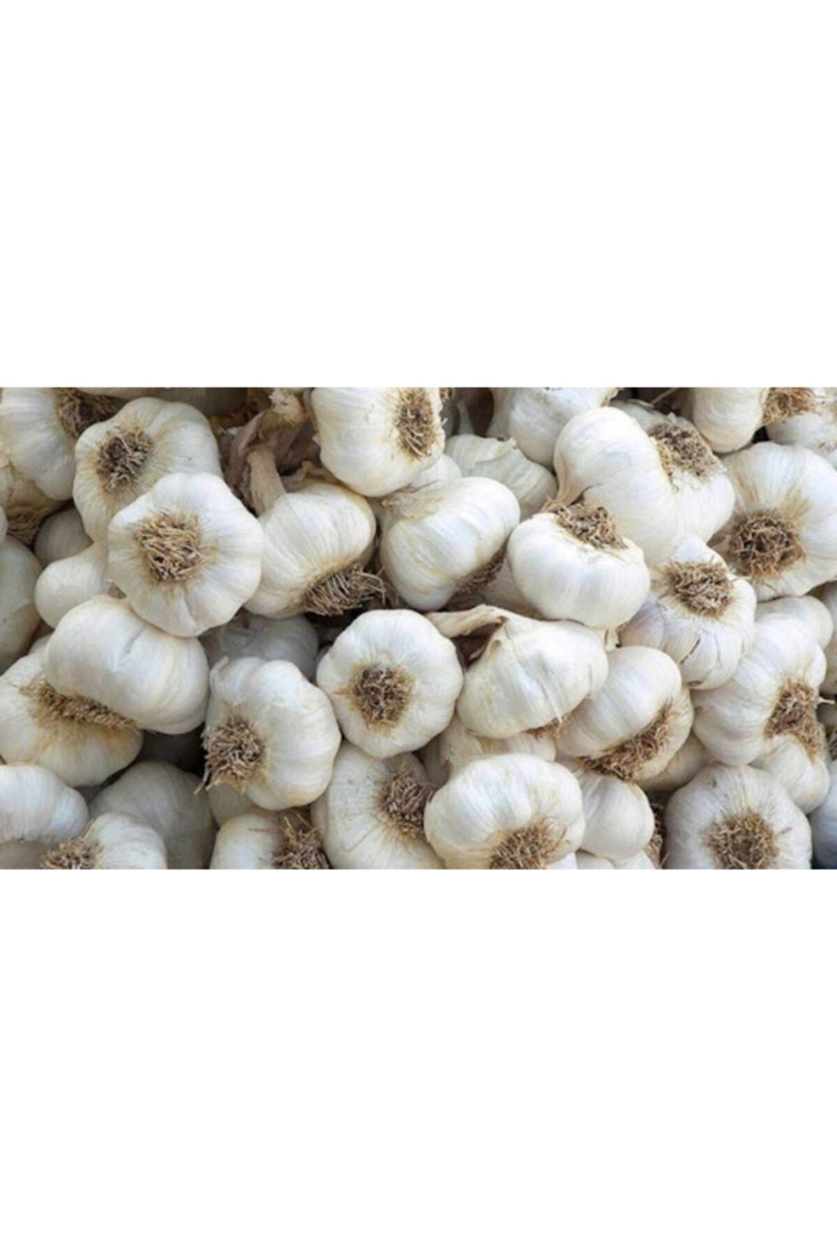 Muhtardan Tarım Ürünleri Doğal Ilaçsız Kaliteli Büyük Boy Sarımsak 1kg