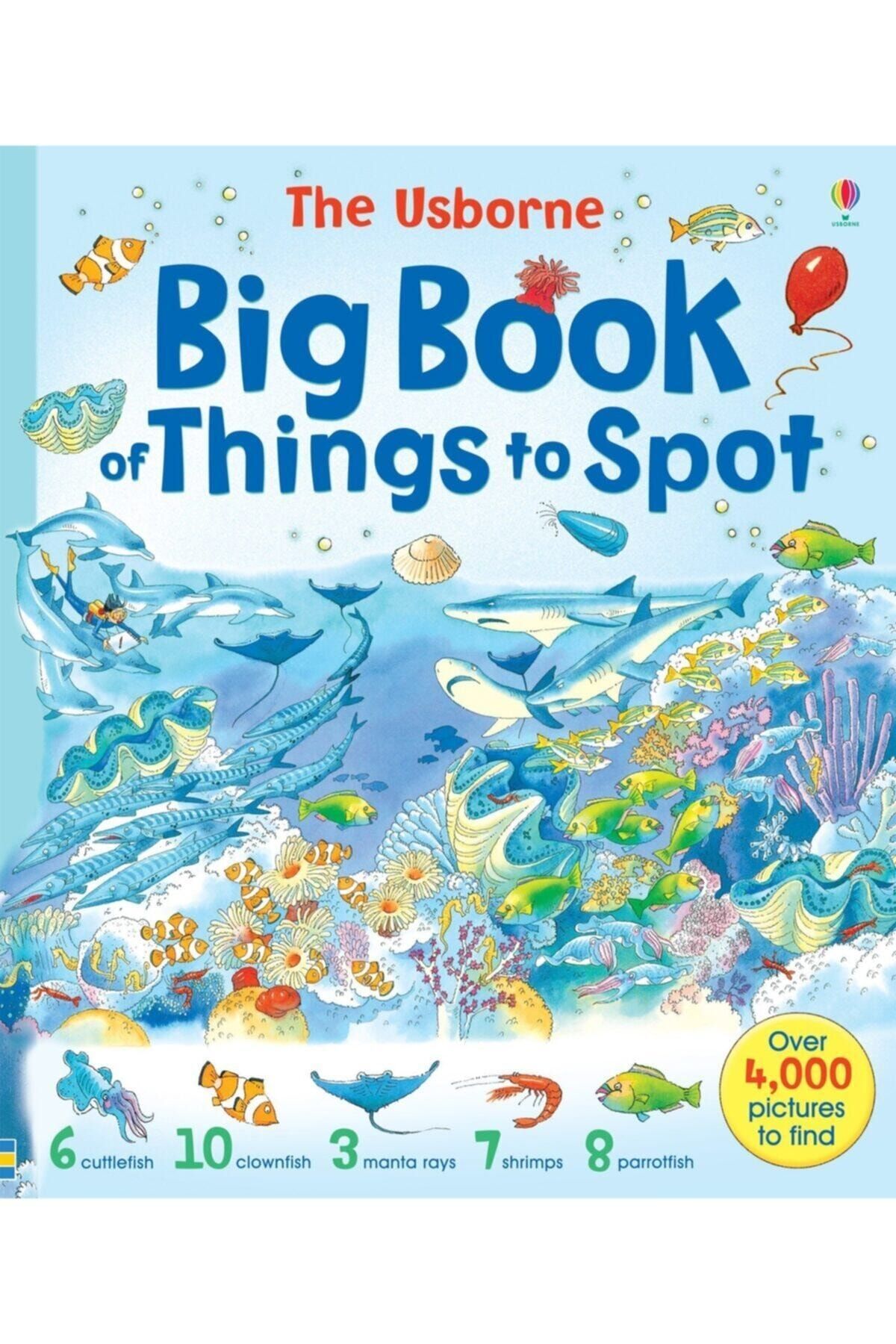 The Usborne Usborne Big Book Of Things To Spot