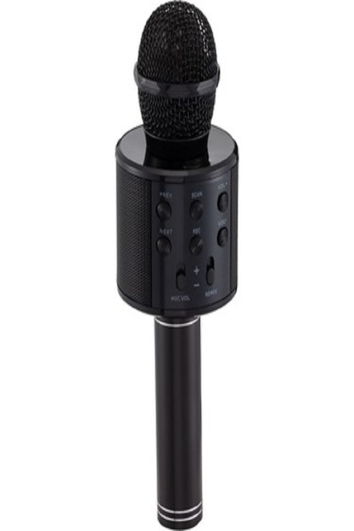 Wster Karaoke Mikrofon Bluetooth Ws-858 (marka Farklılık Gösterebilir)