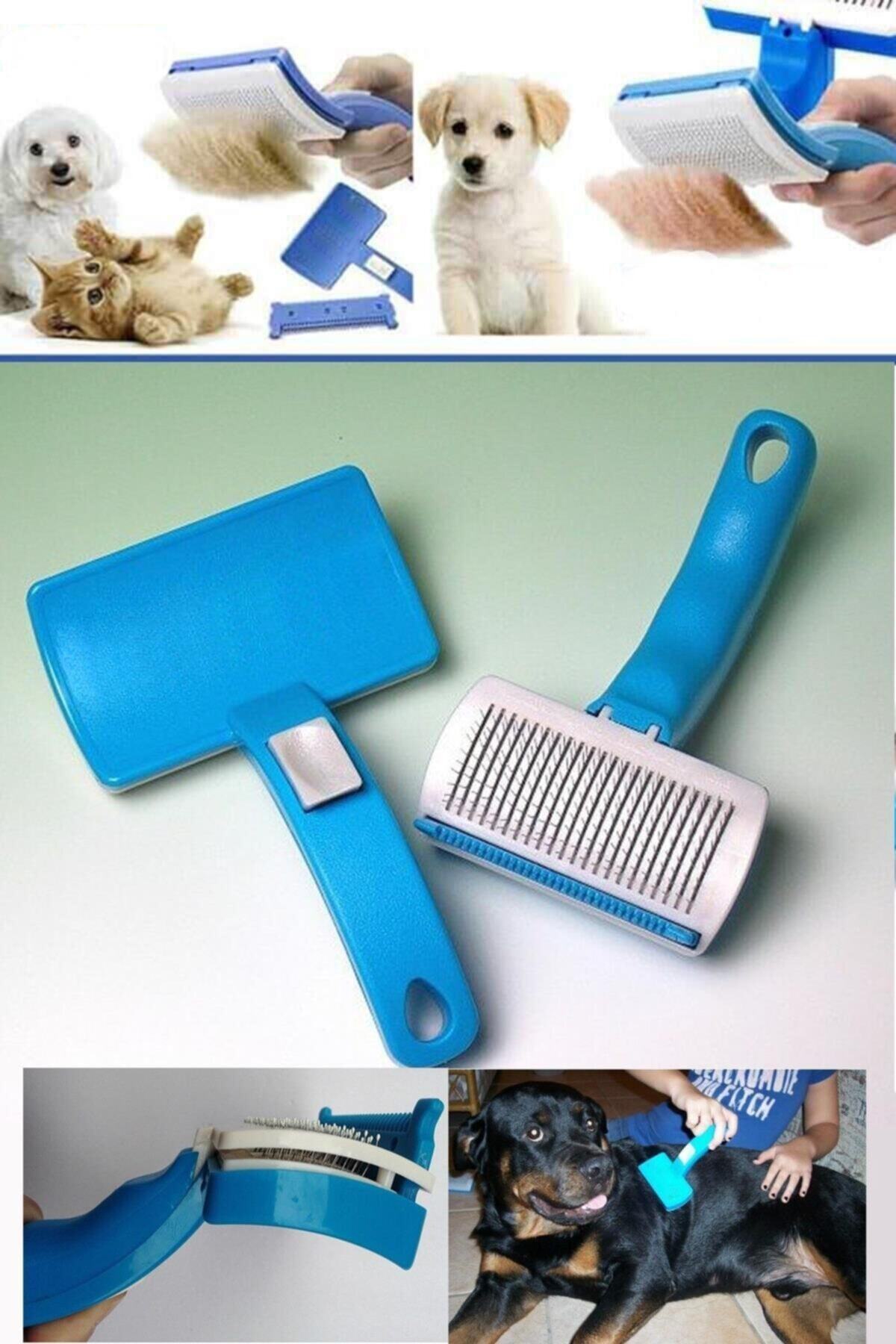 TechnoSmart Kedi Köpek Tarağı Ve Tüy Kesme Aleti Evcil Hayvan Tarak