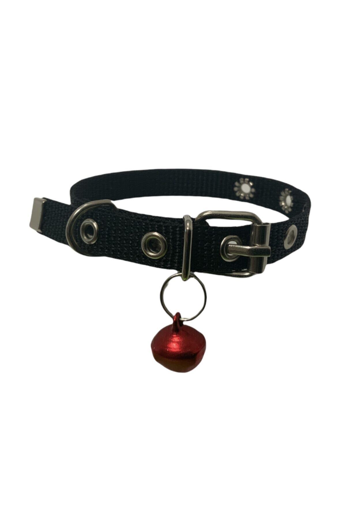 Albayrak Pet Accessories Tokalı Boyun Tasması Zilli, Kedi Ve Mini Irk Köpekler Için