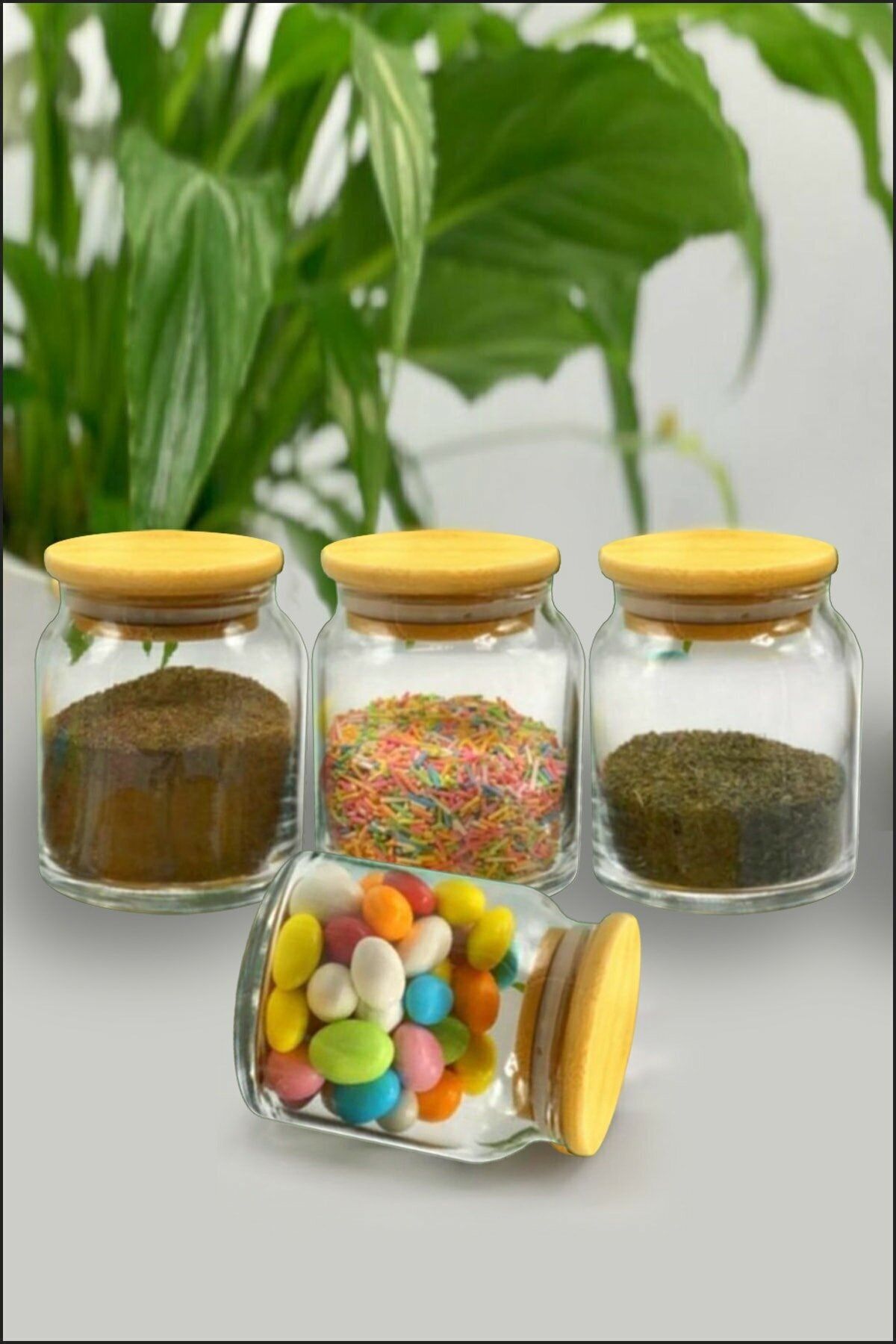 FBZhome 4 Adet 300 ml Bambu Vakum Kapaklı Cam Kavanoz Baharatlık Seti