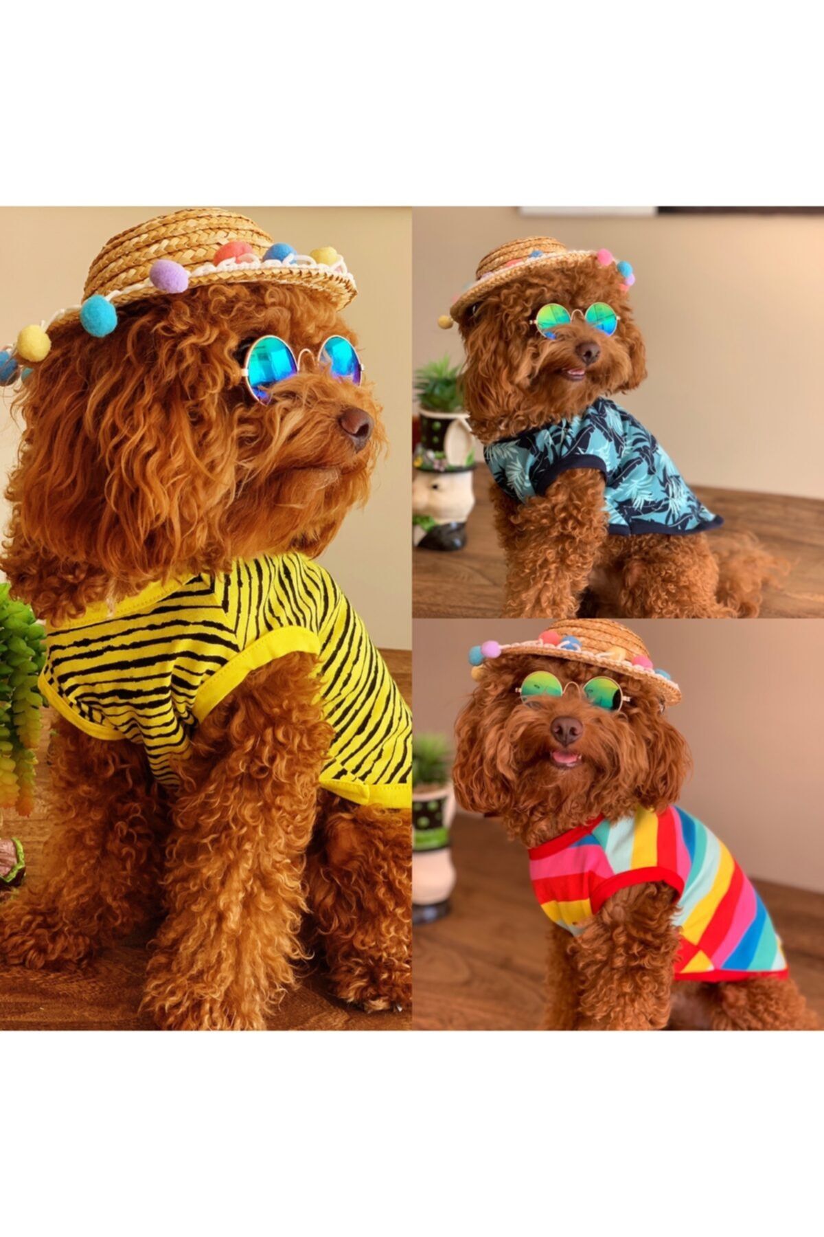 PETBUTİK8 Köpek Tişört