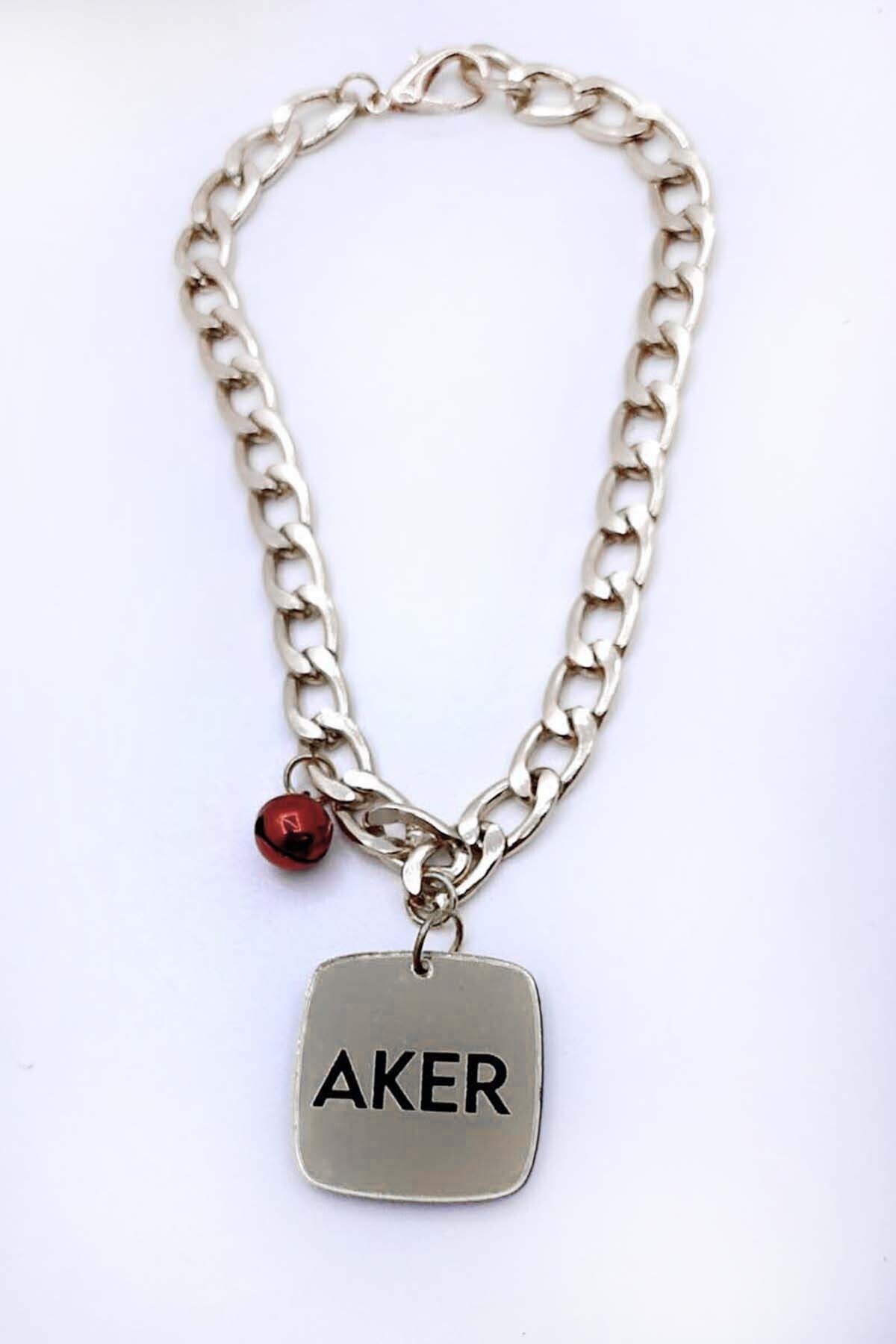 Aker Hediyelik Pleksi Künye Evcil Hayvanlar Için Tasma