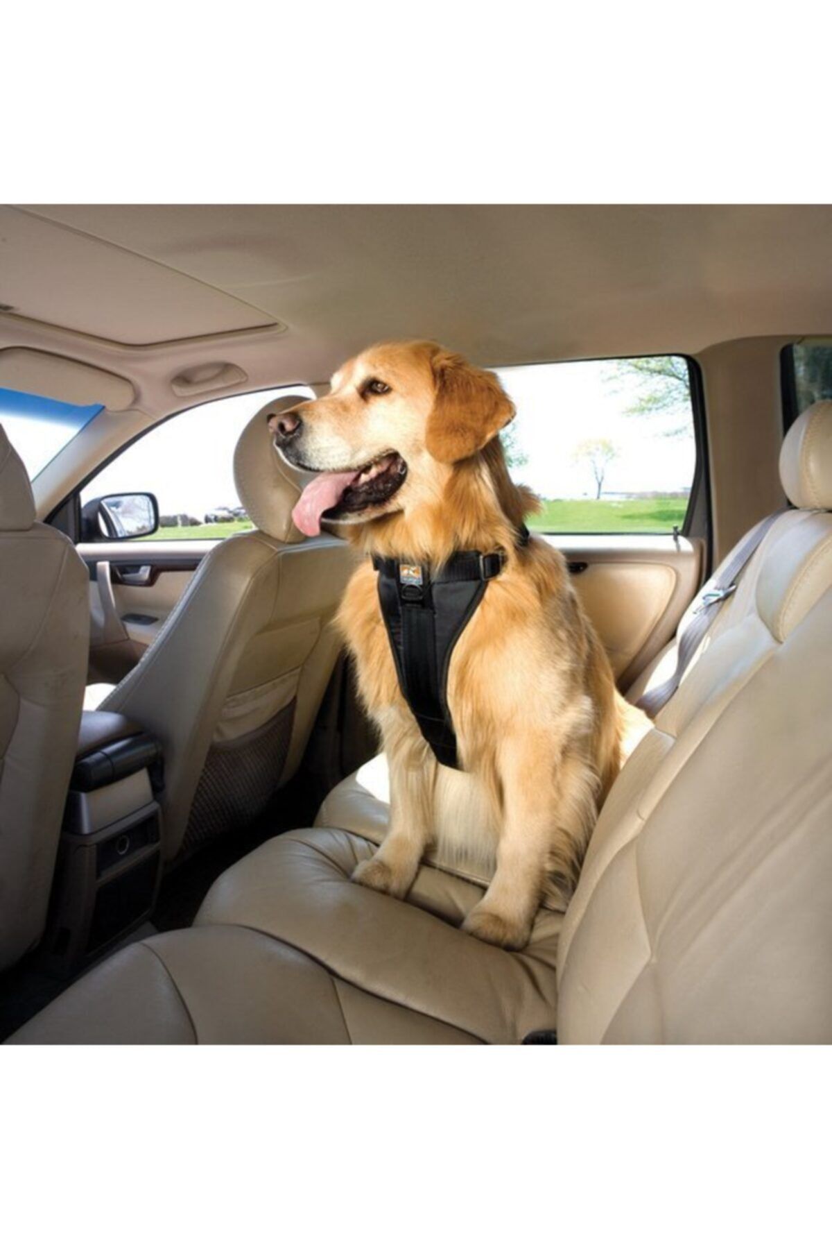 PetSafe Kurgo Tru-fit Oto Emniyet Kemeri Sırt Tasması Siyah L K01258
