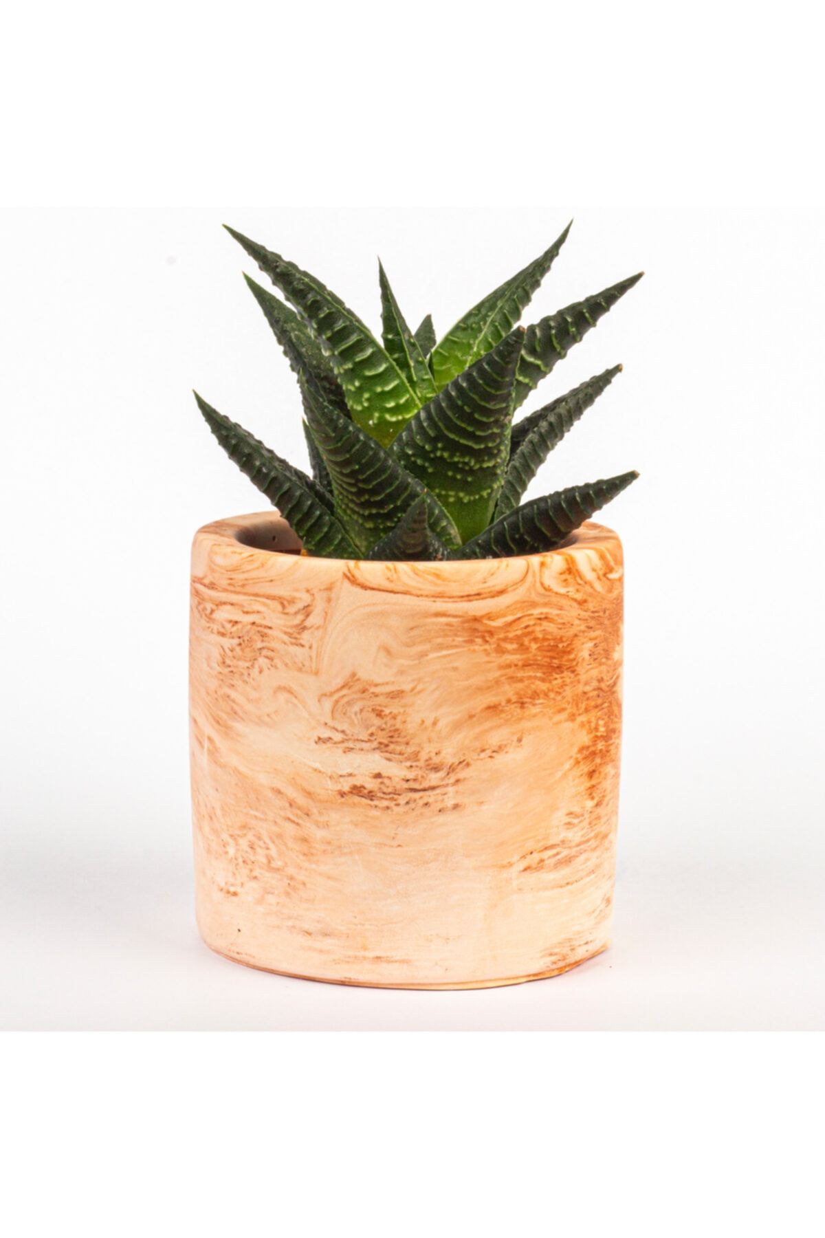 ESS Candles & Decoration Terracotta Saksı (kaktüs/sukulent Saksısı)