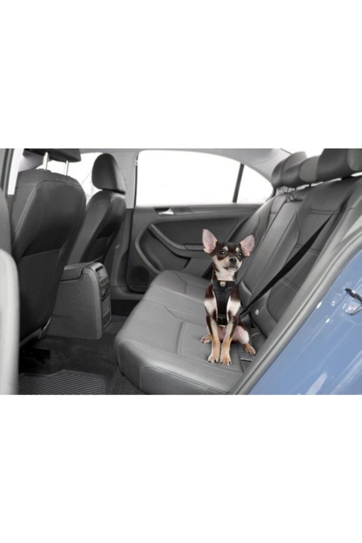 PetSafe Kurgo Tru-fit Oto Emniyet Kemeri Sırt Tasması Siyah Xs K01255