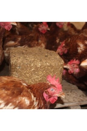 Royal Avian Peckstone Tavuk Gagalama Taşı- 10 Kg Image 0