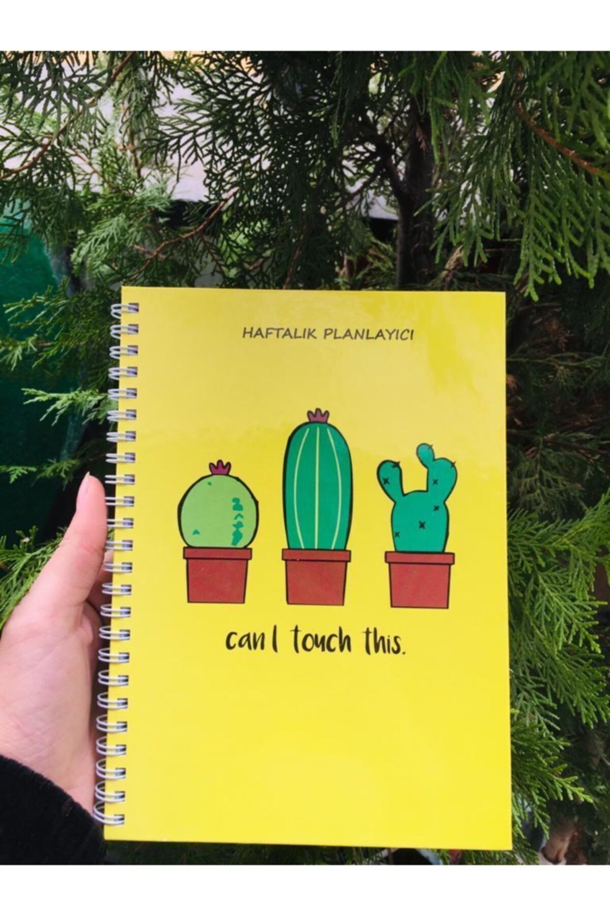 Retina Shop Kaktüs Tasarım Haftalık Planlayıcı Defter Planner 144 Sayfa- Cactus Baby