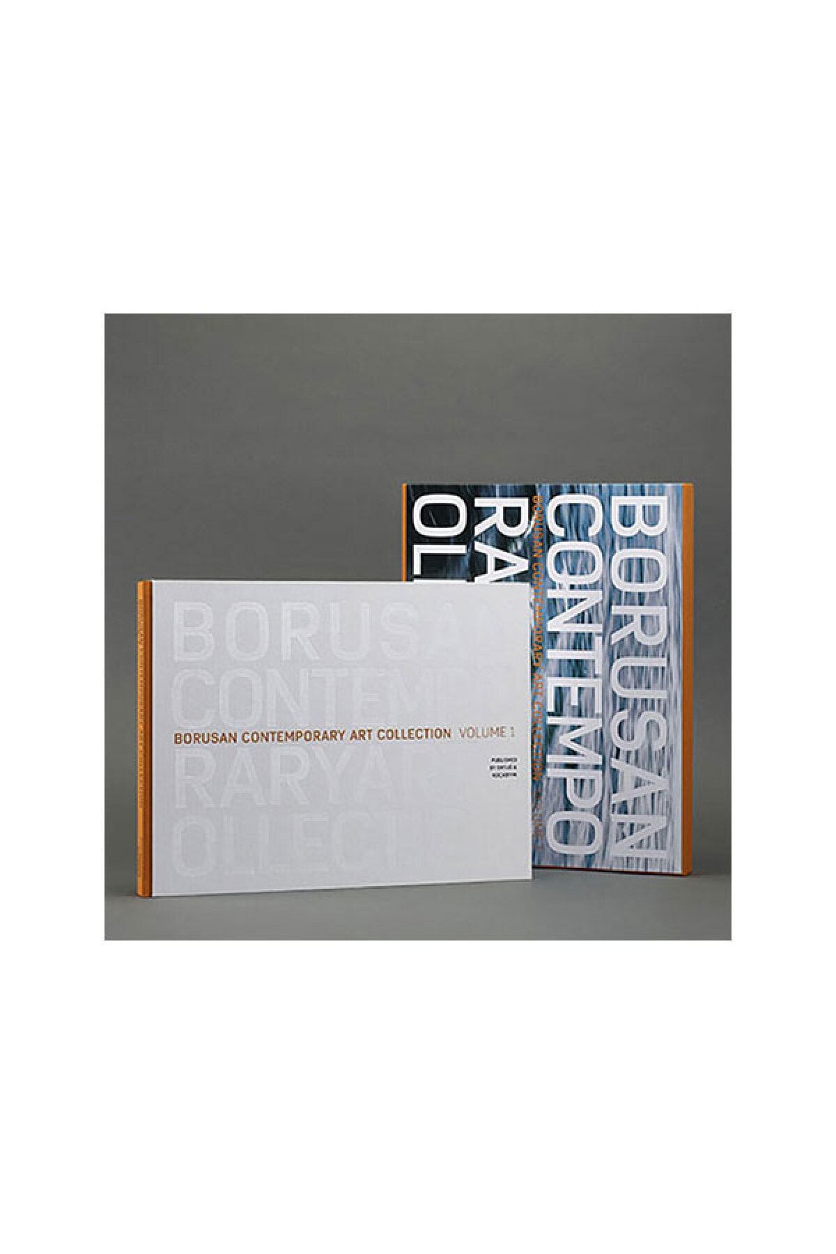 Borusan Kültür ve Sanat Yayınları Contemporary Art Collection V.1