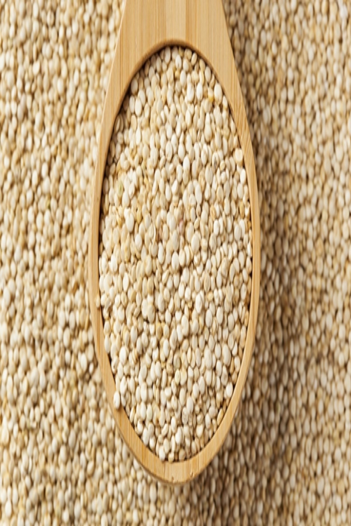 Malatya Kayısı ve Bitki Pazarı Organik Kinoa 250 Gr