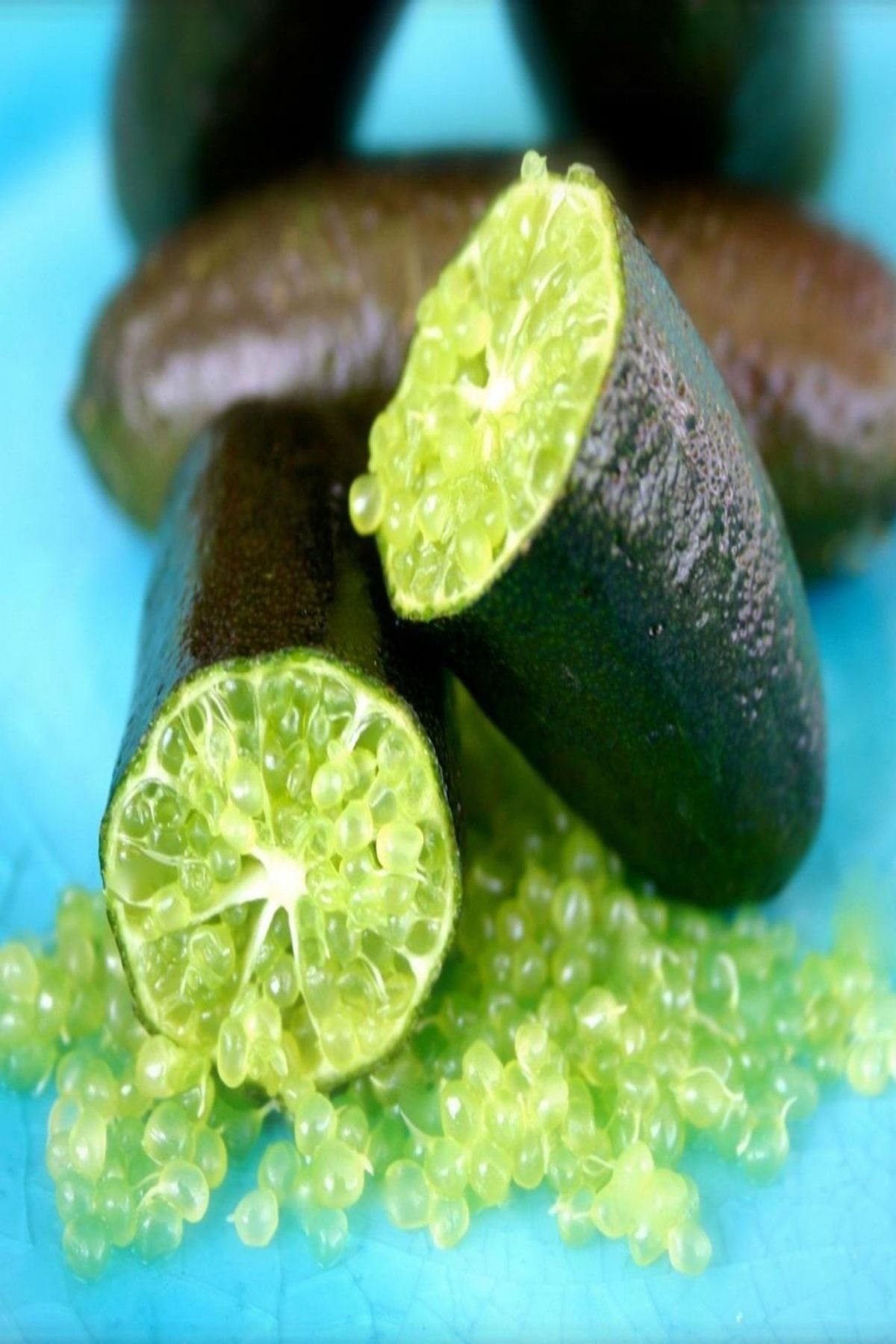 İdea Bahçe Tüplü Aşılı Meyve Verme Yaşında Finger Lime Parmak Limon Fidanı