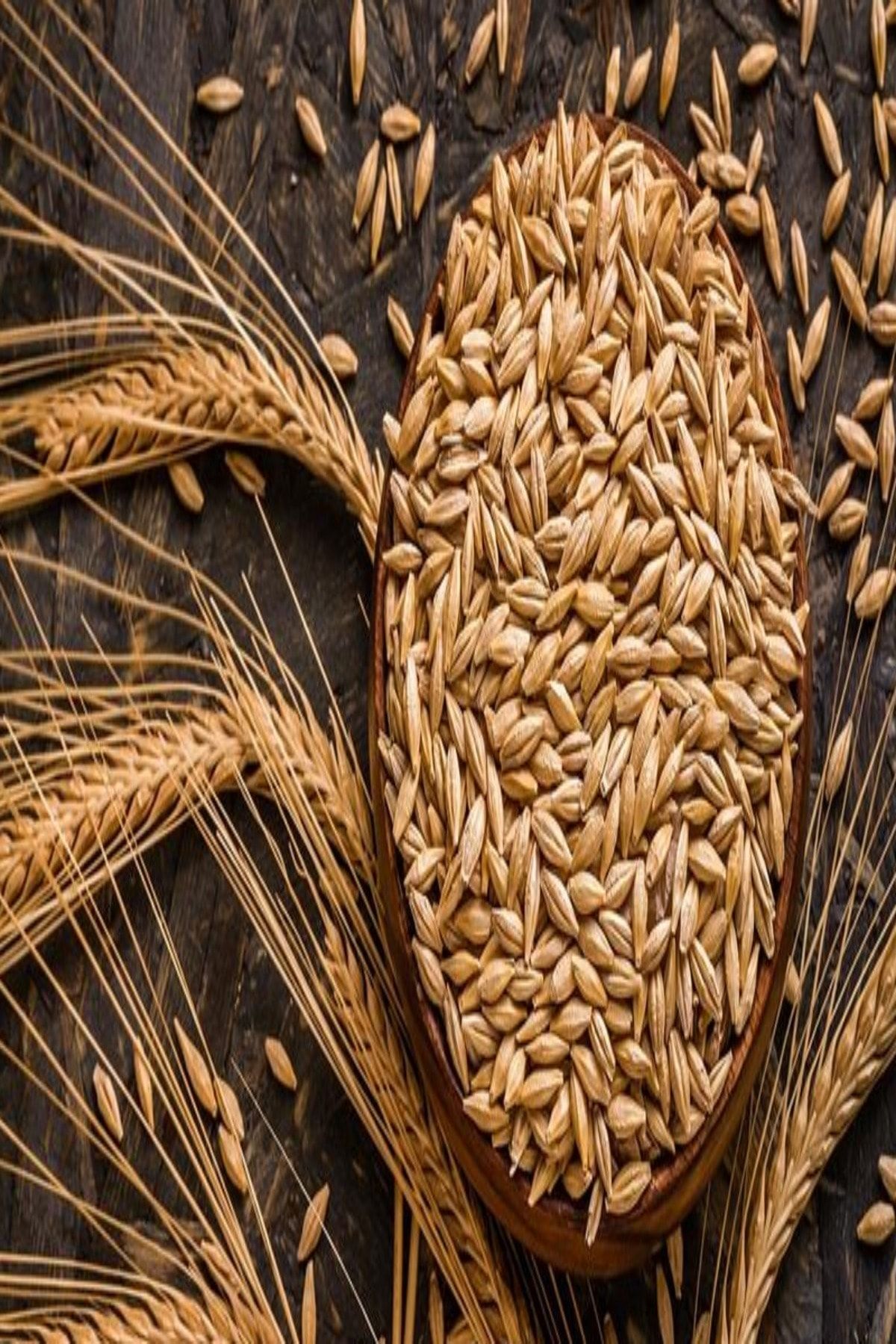 Malatya Kayısı ve Bitki Pazarı Doğal Arpa 500 Gr