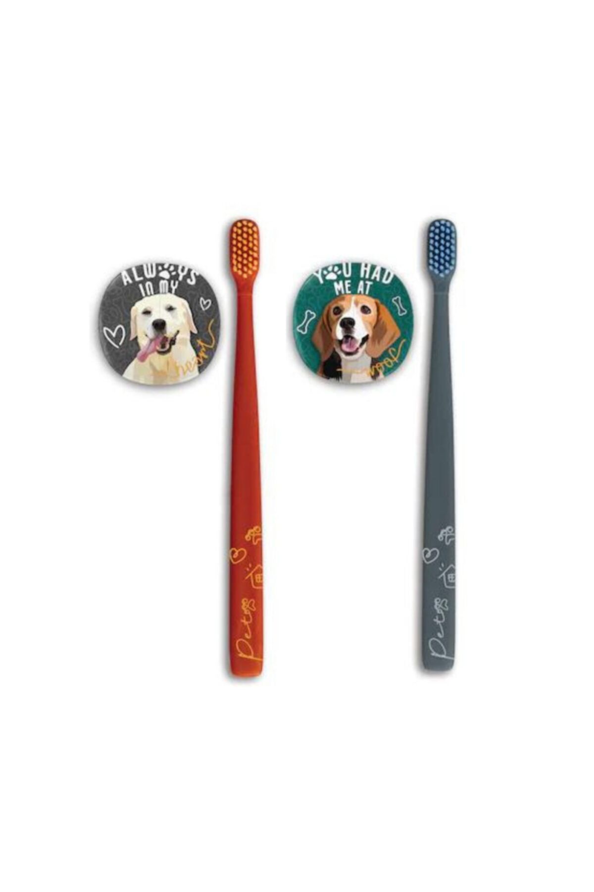 R.O.C.S. Rocs Flipper Pets Hijyenik Saklama Kabı Ve Yetişkin Diş Fırçası Seti (köpek) 2 Adet