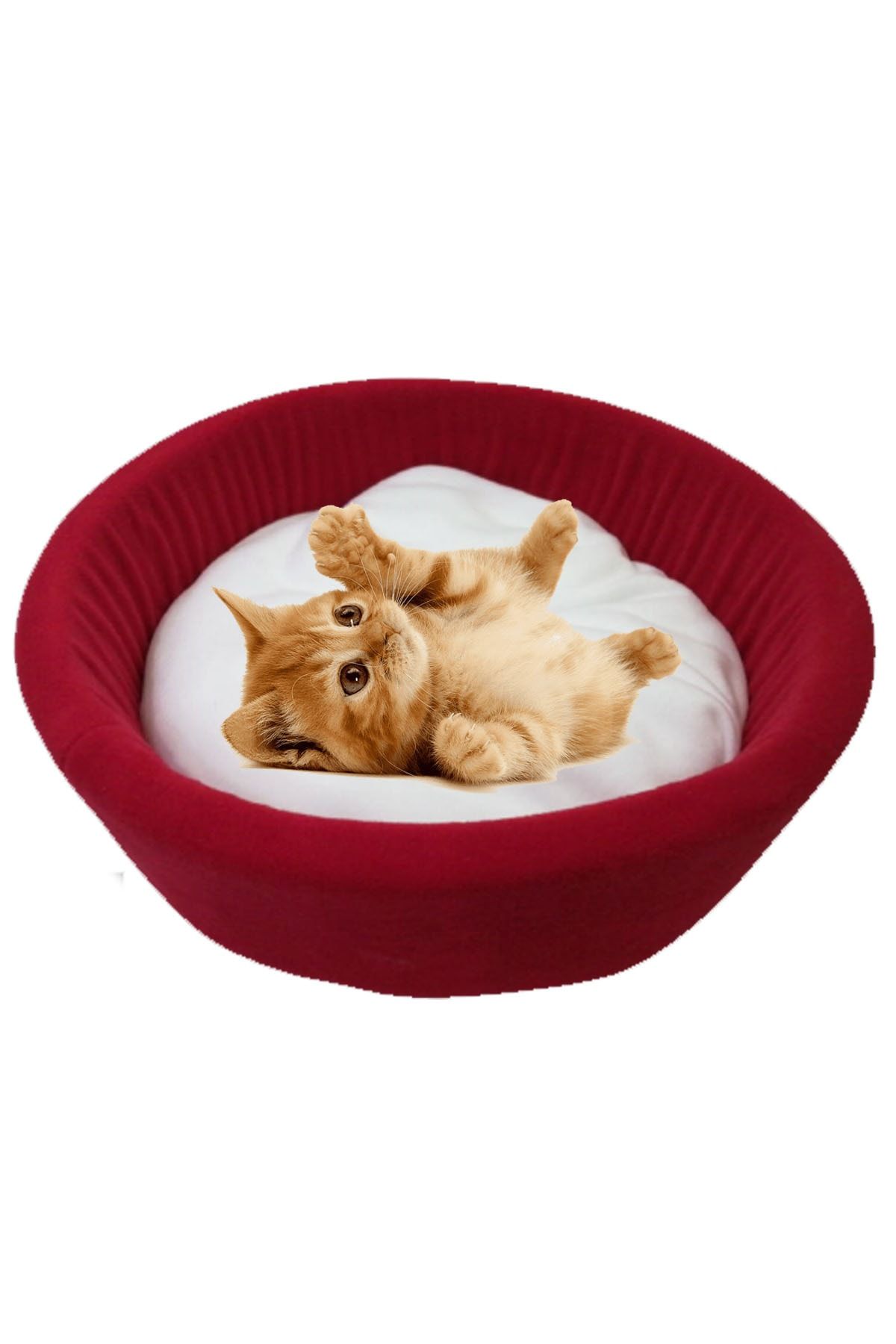 YİĞİTLERAVM Kedi Lüx Polarlı Yumuşacık Havuz Yatak A Kalite Kırmızı