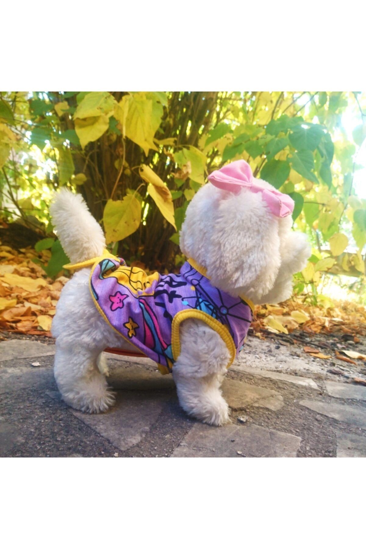 ametisticaret Kedi Ve Küçük Irk Köpek Kıyafeti 32 Cm