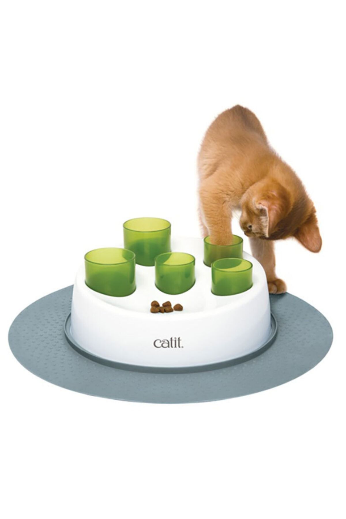 Catit Kedi Mama Oyun Merkezi