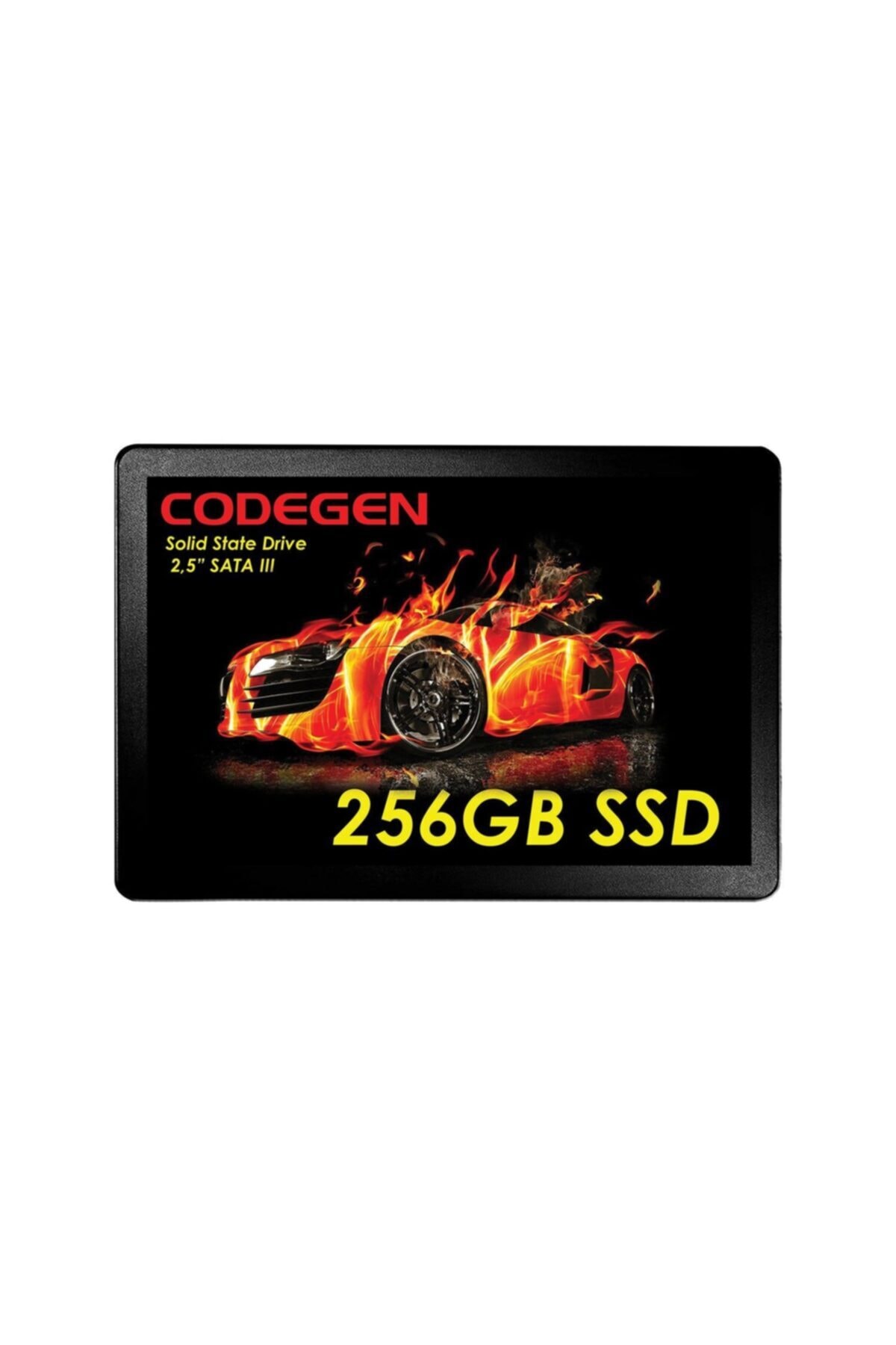CODEGEN 256 Gb 2.5\