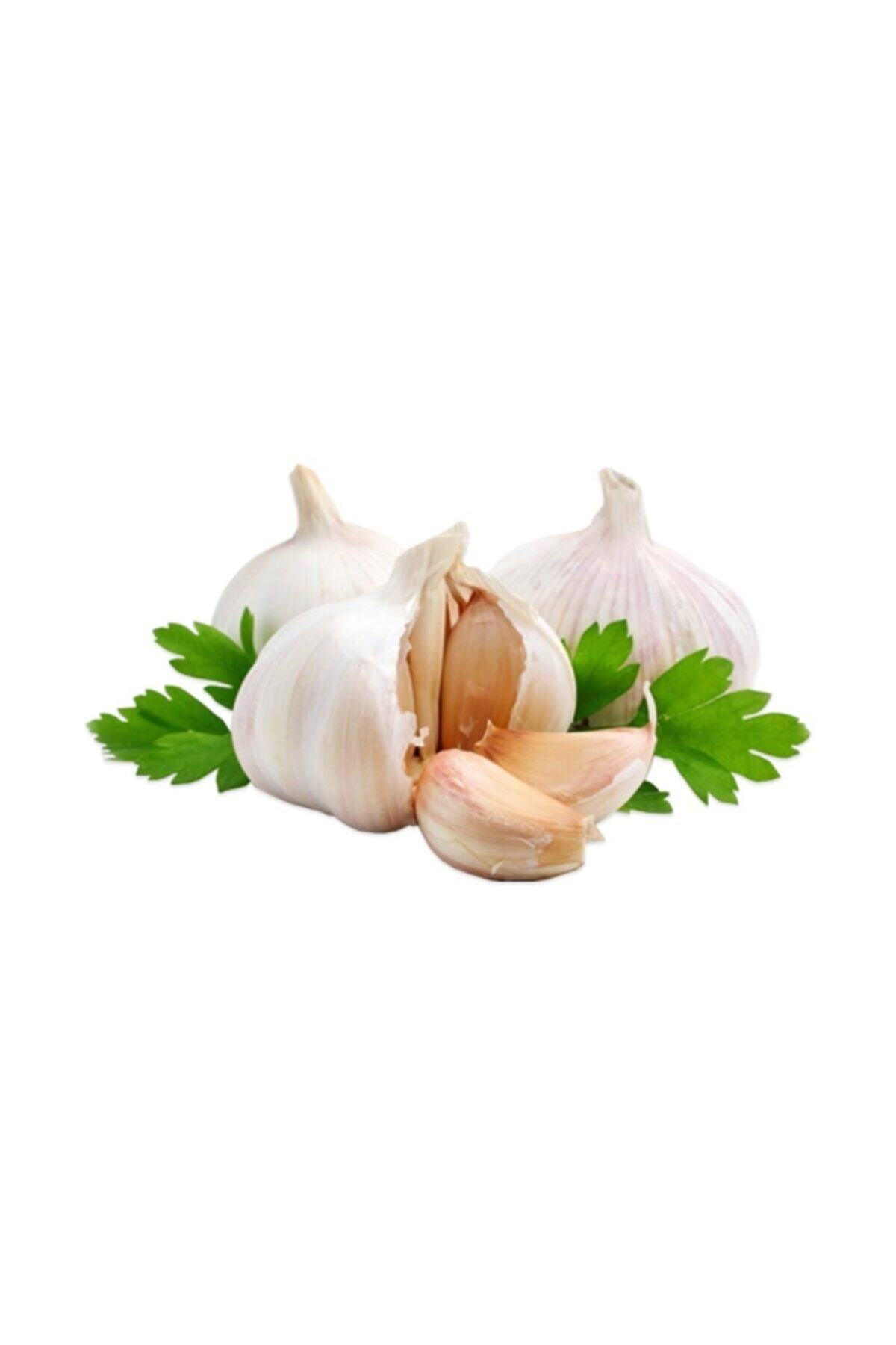 Sebze Meyve Dünyası Sarımsak Kastamonu (500 Gr)