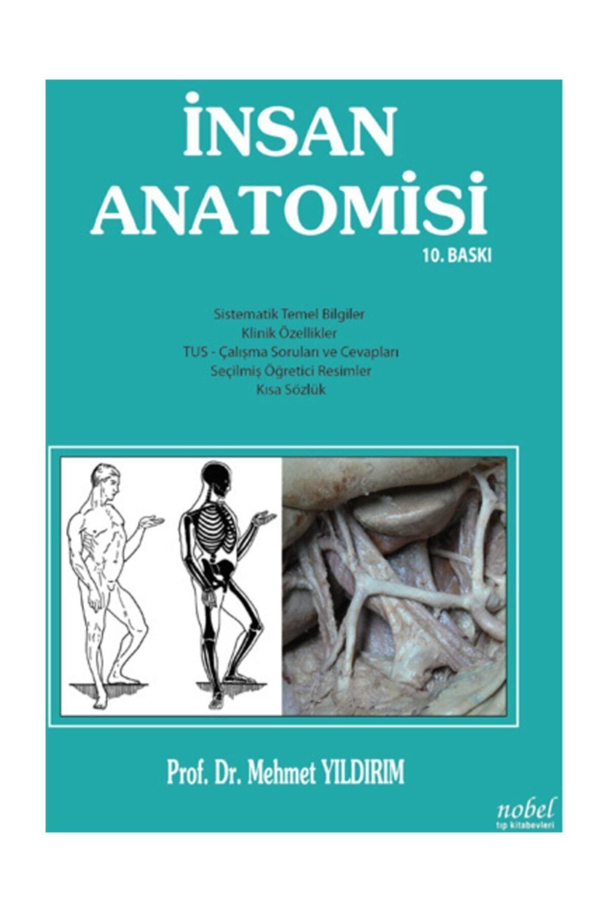 Nobel Tıp Kitabevi Insan Anatomisi 10.baskı
