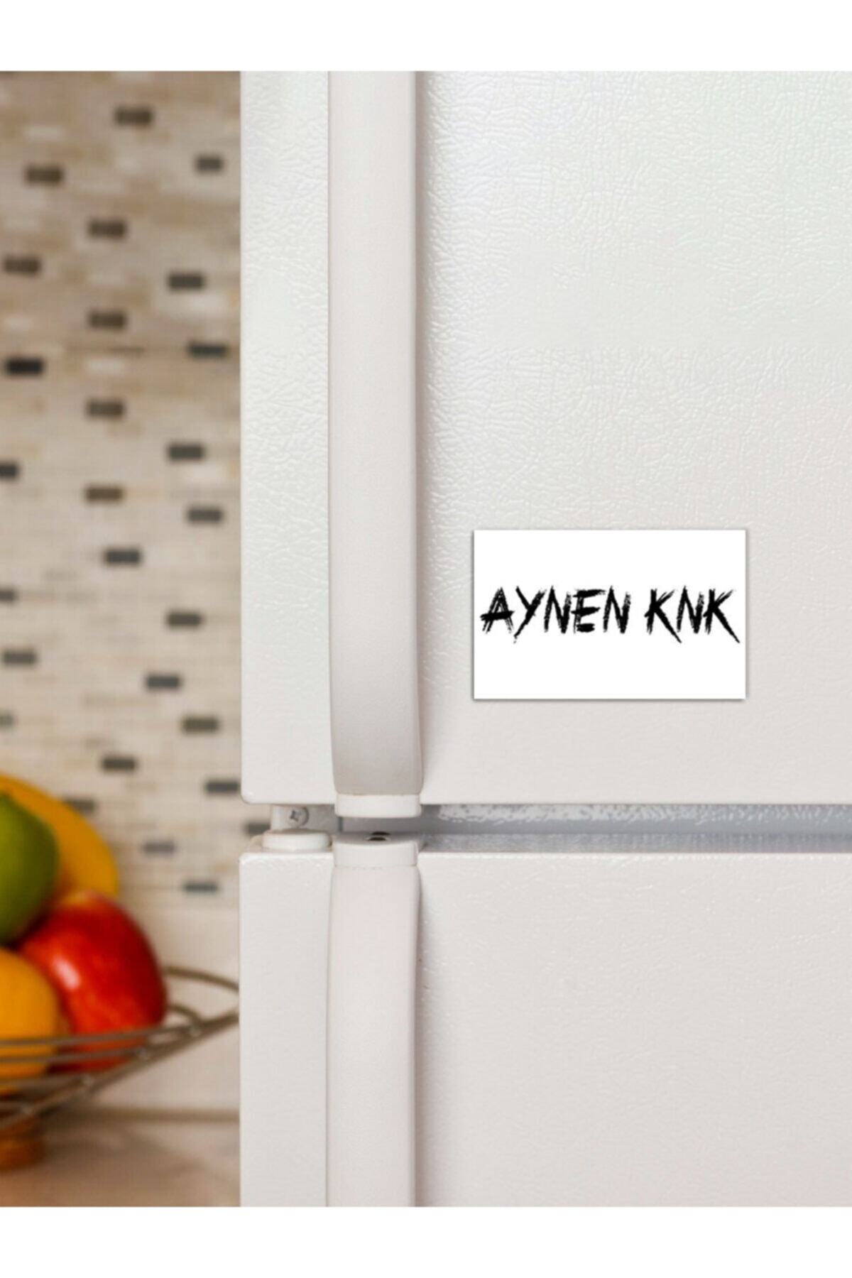Panorama Ajans Aynen Knk Komik Sözlü Tasarım Süs Dekor 6x9cm Magnet