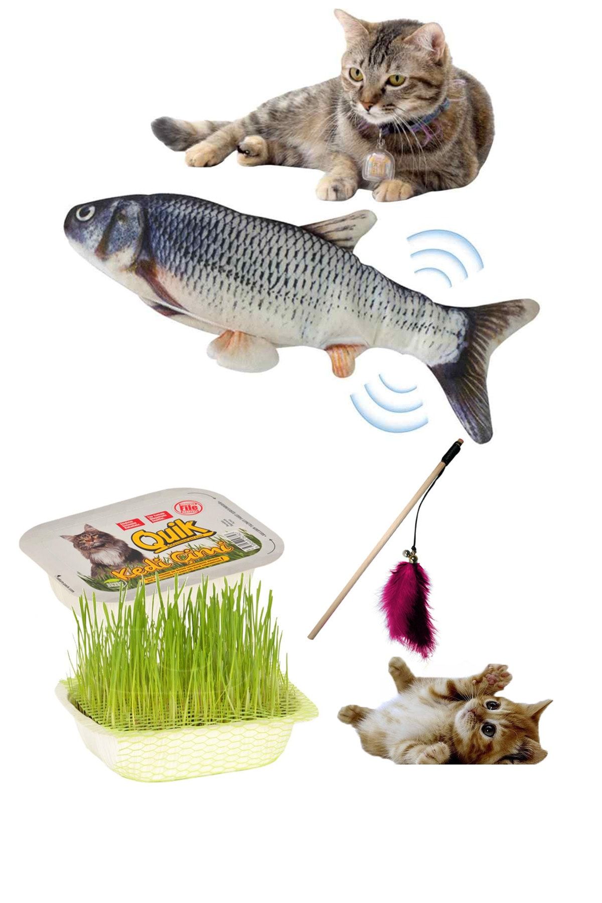 AST GROSS PET Haraketli Balık, Kedi Oltası Ve Çimi