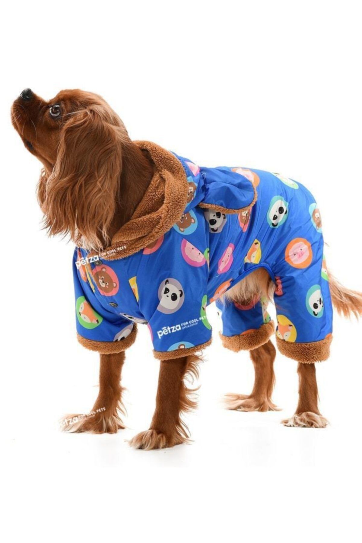 Petza Küçük Ve Orta Irk Köpek Paçalı Mont Karita Mavi