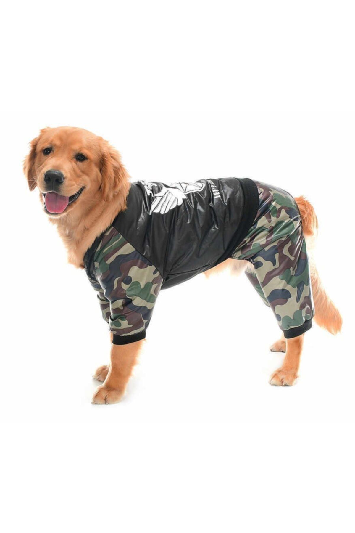Petza Büyük Irk Paçalı Köpek Mont - Gunvor