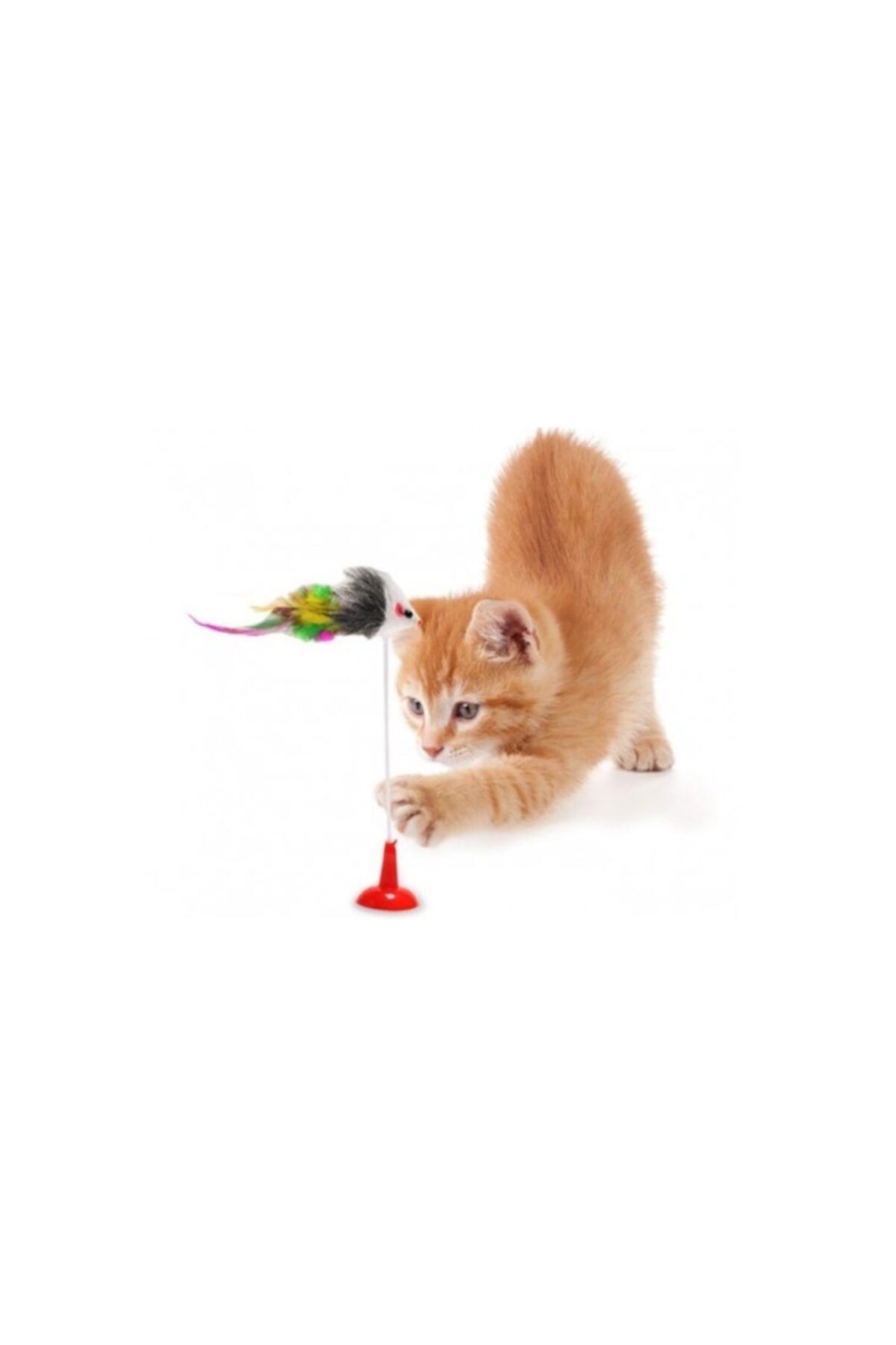 DORSENNA Vantuzlu Kedi Oyuncağı - Fare Yakalama Oyuncağı