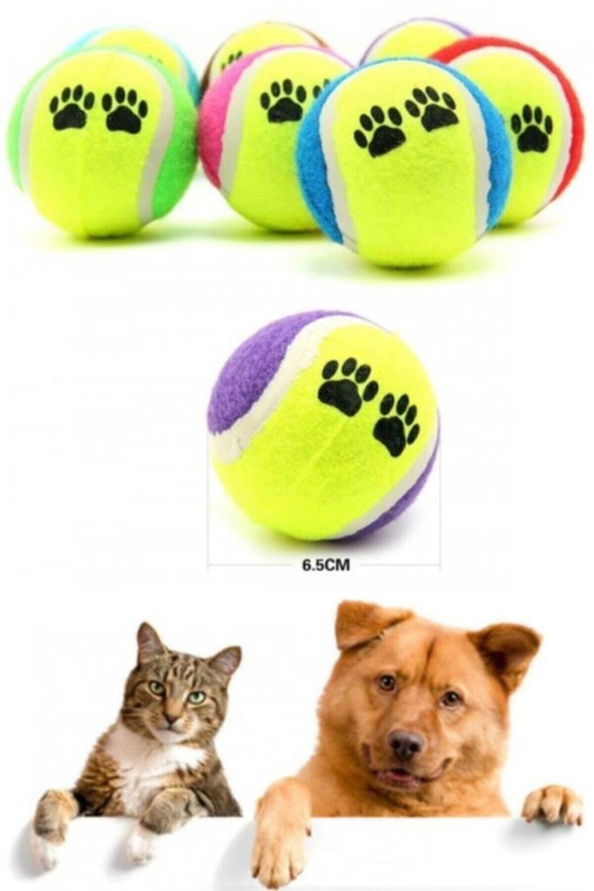 Zeki Karga Köpek Isırma Pet Tenis Topu Kedi Köpek Eğitim Oyuncağı 3 Adet