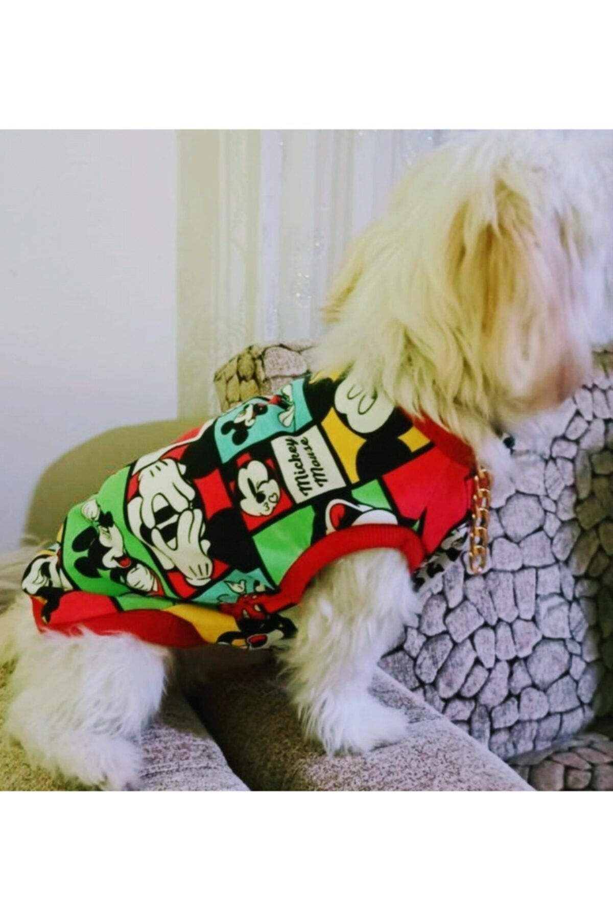 atelyu Kedi Köpek Kıyafetleri Kışlık T-shirt