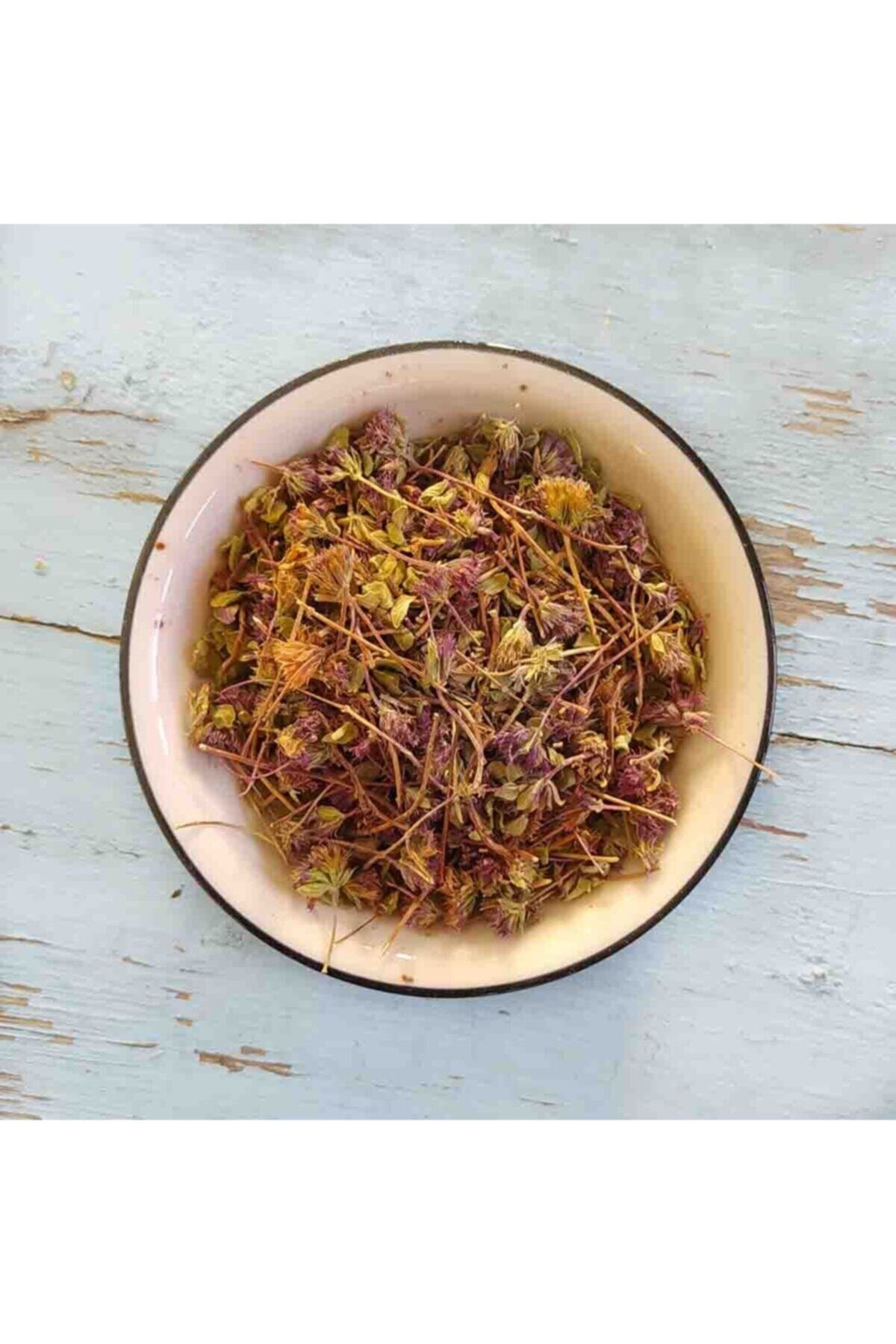 BİTKİBABA Yapuz -yabani Nane 100 Gr (1. Kalite Organik)